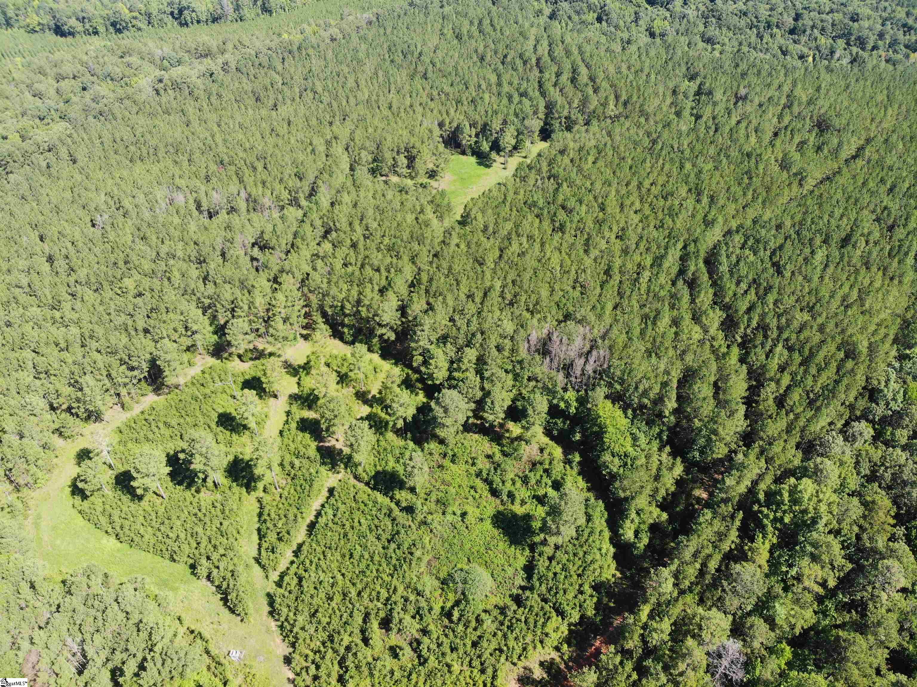 Walker Road Edgefield, SC 29824