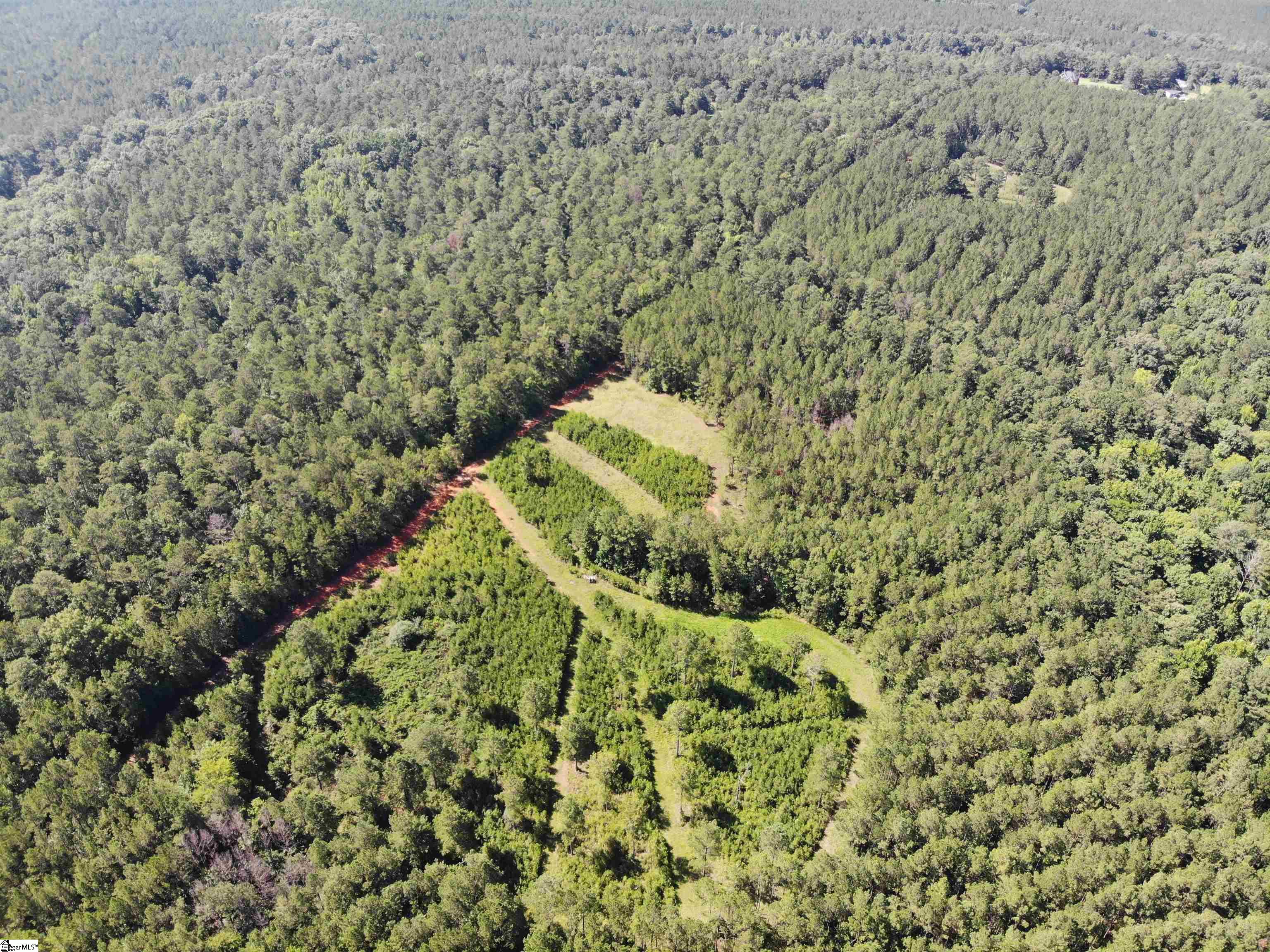 Walker Road Edgefield, SC 29824