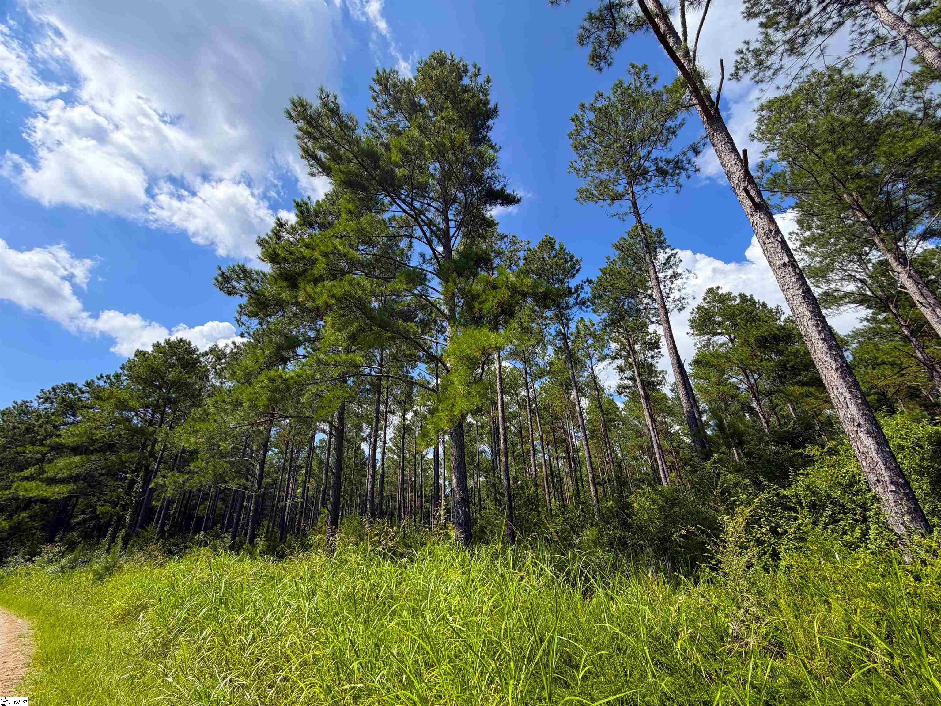 1008 Seneca St Extension Calhoun Falls, SC 29628