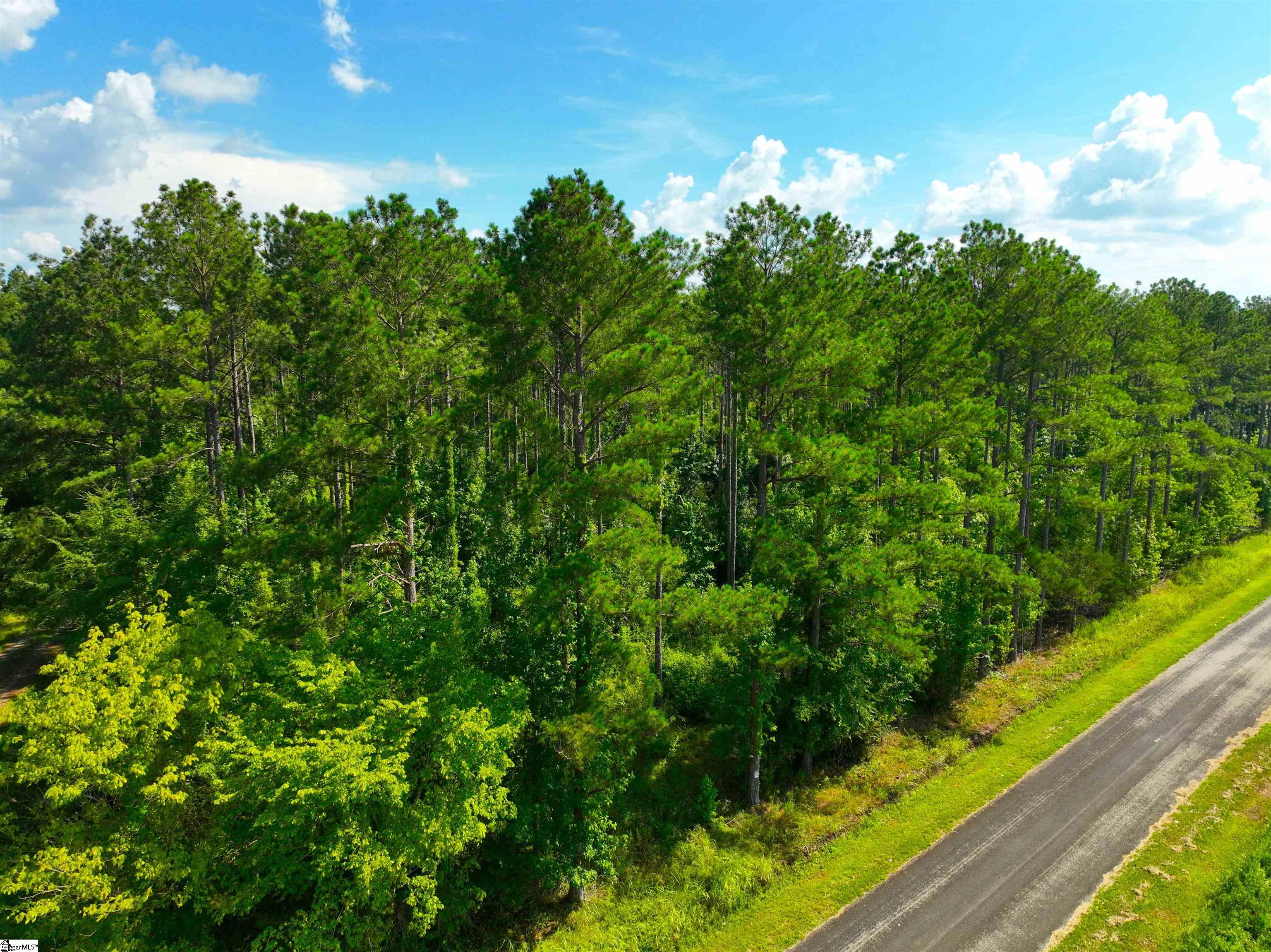 1008 Seneca St Extension Calhoun Falls, SC 29628