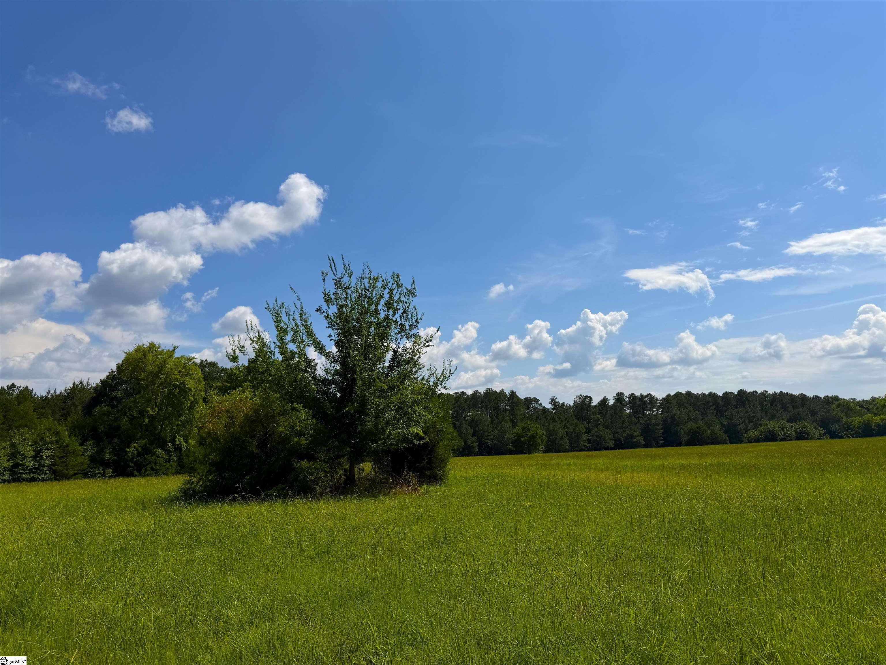 1008 Seneca St Extension Calhoun Falls, SC 29628