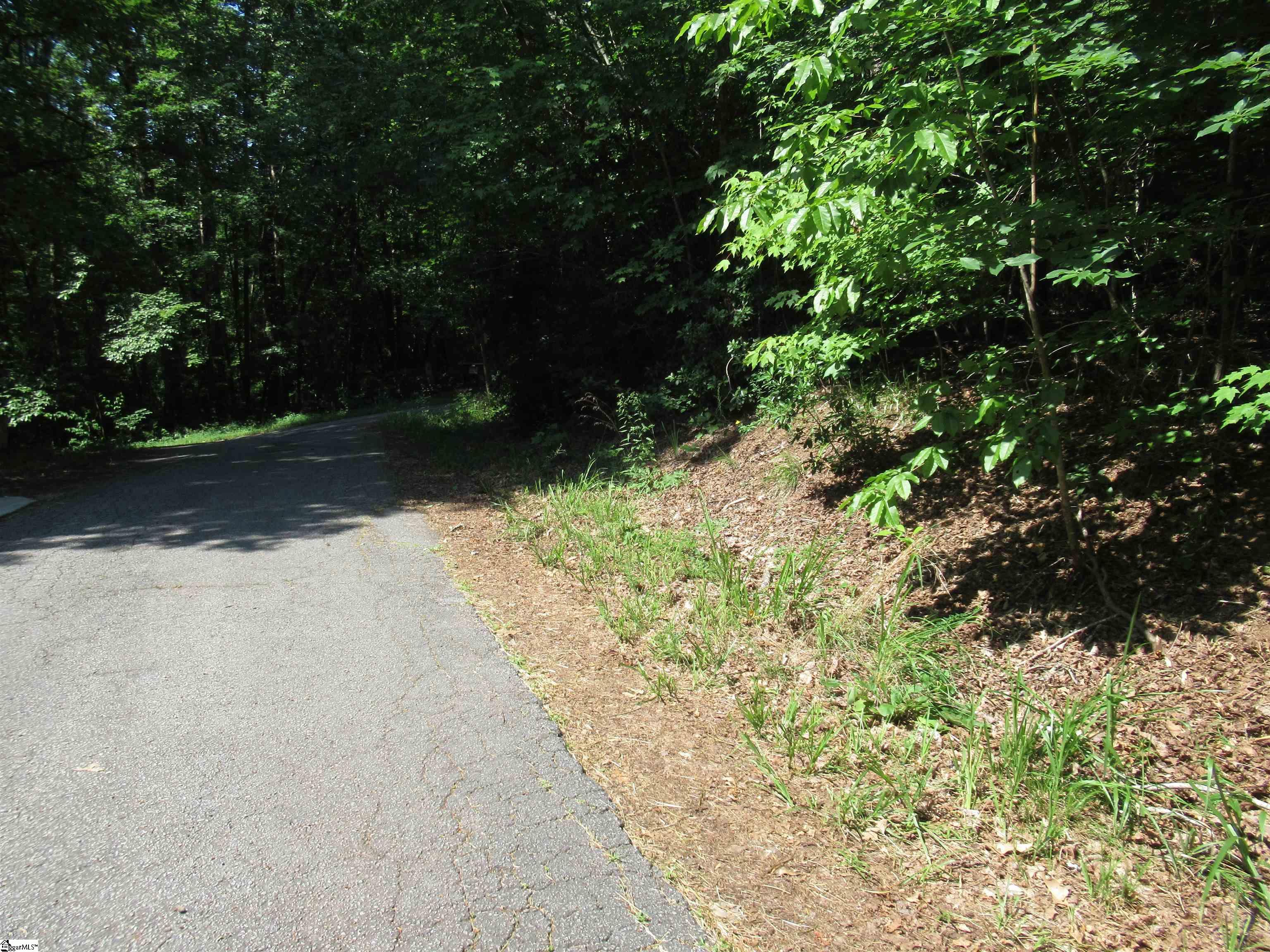 00 Gauley Falls Road Pickens, SC 29671