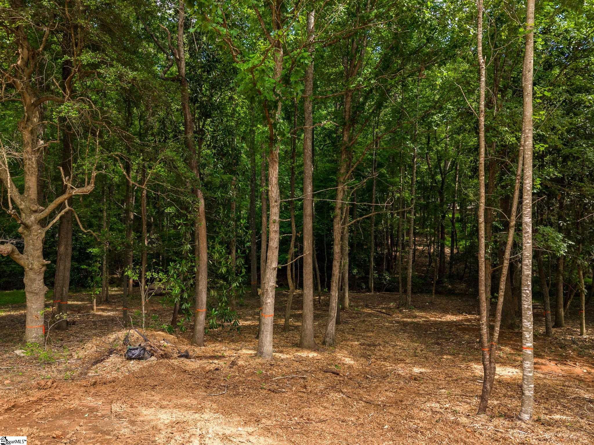 223 Hillsboro Trace Spartanburg, SC 26301
