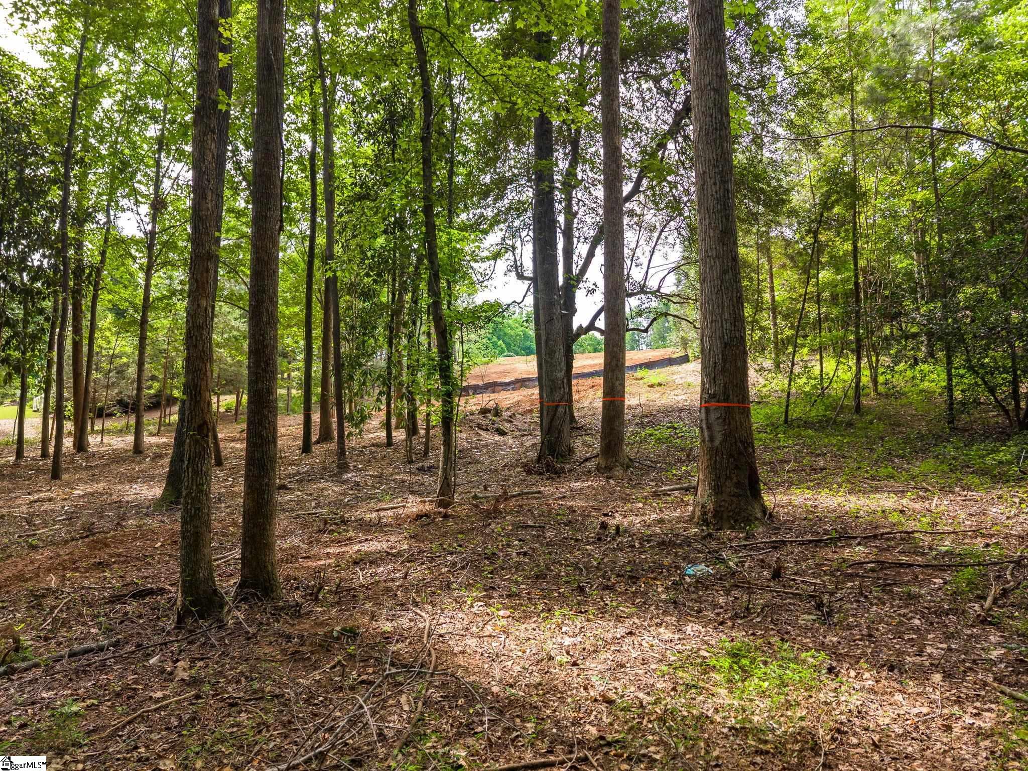 223 Hillsboro Trace Spartanburg, SC 26301