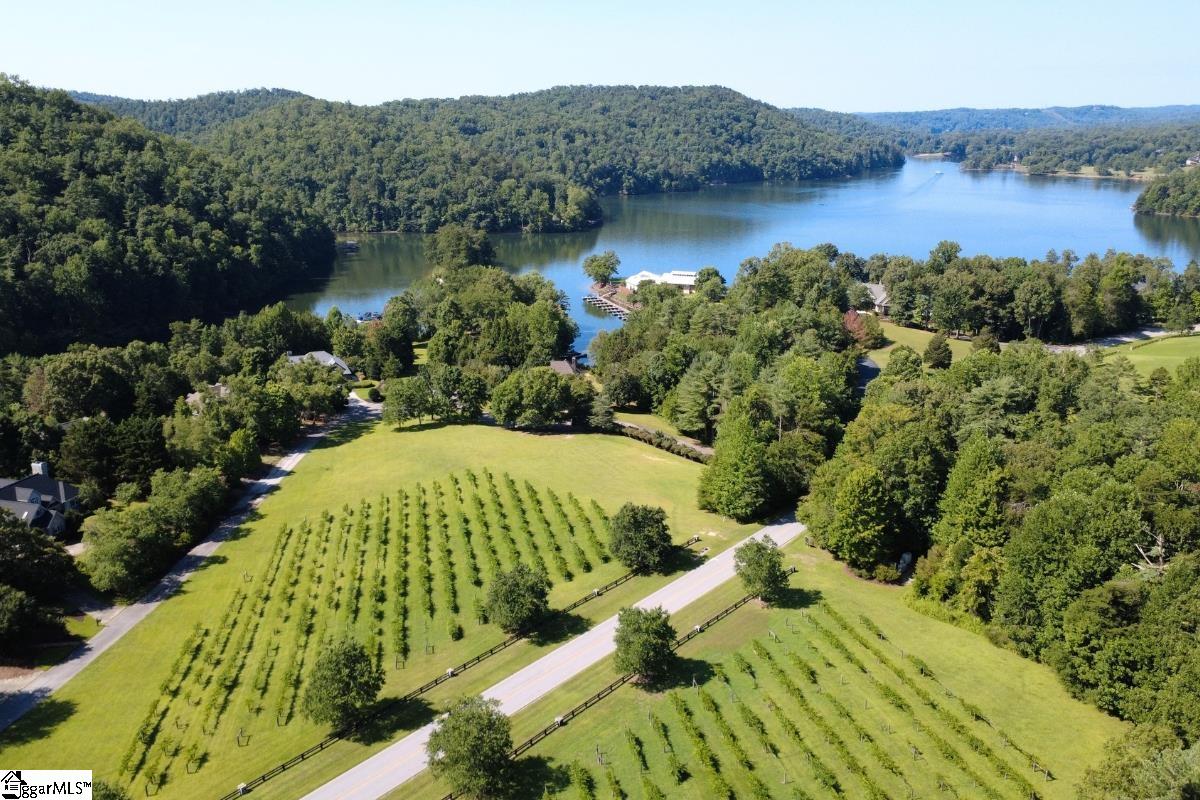 205 Vineyard Park Sunset, SC 29685