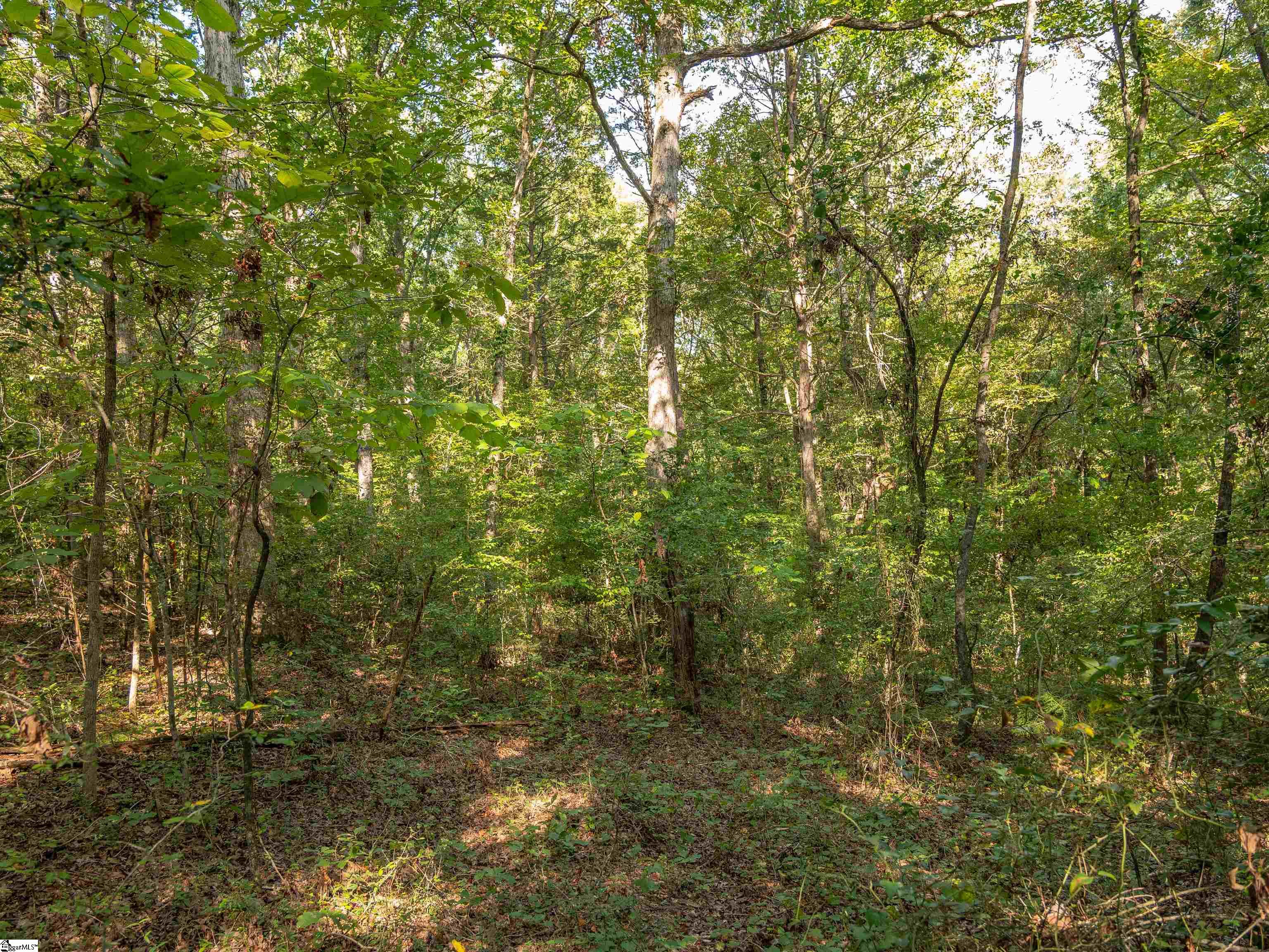 Gibson Road UNIT #02 Anderson, SC 29625