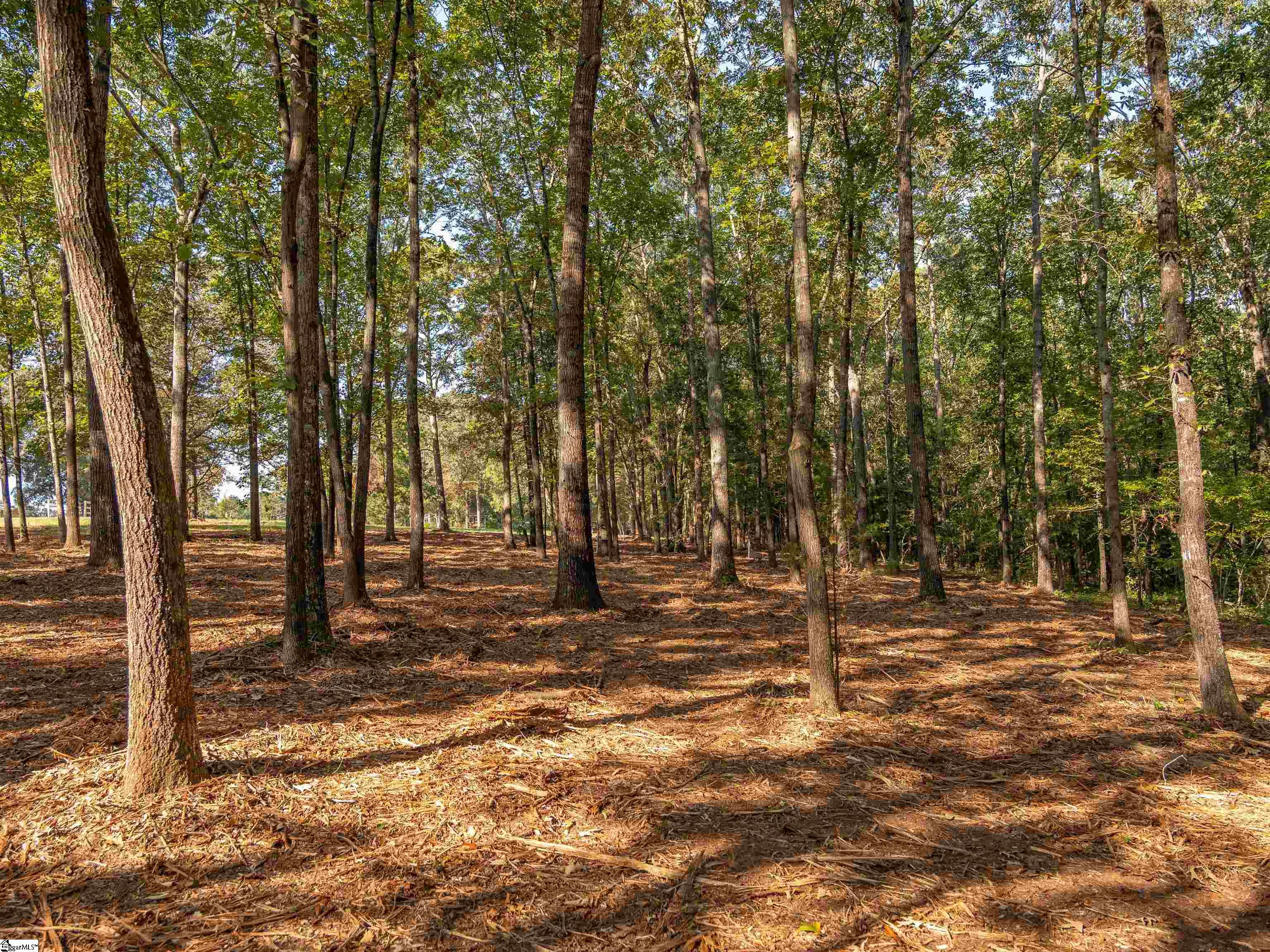 Gibson Road UNIT #02 Anderson, SC 29625