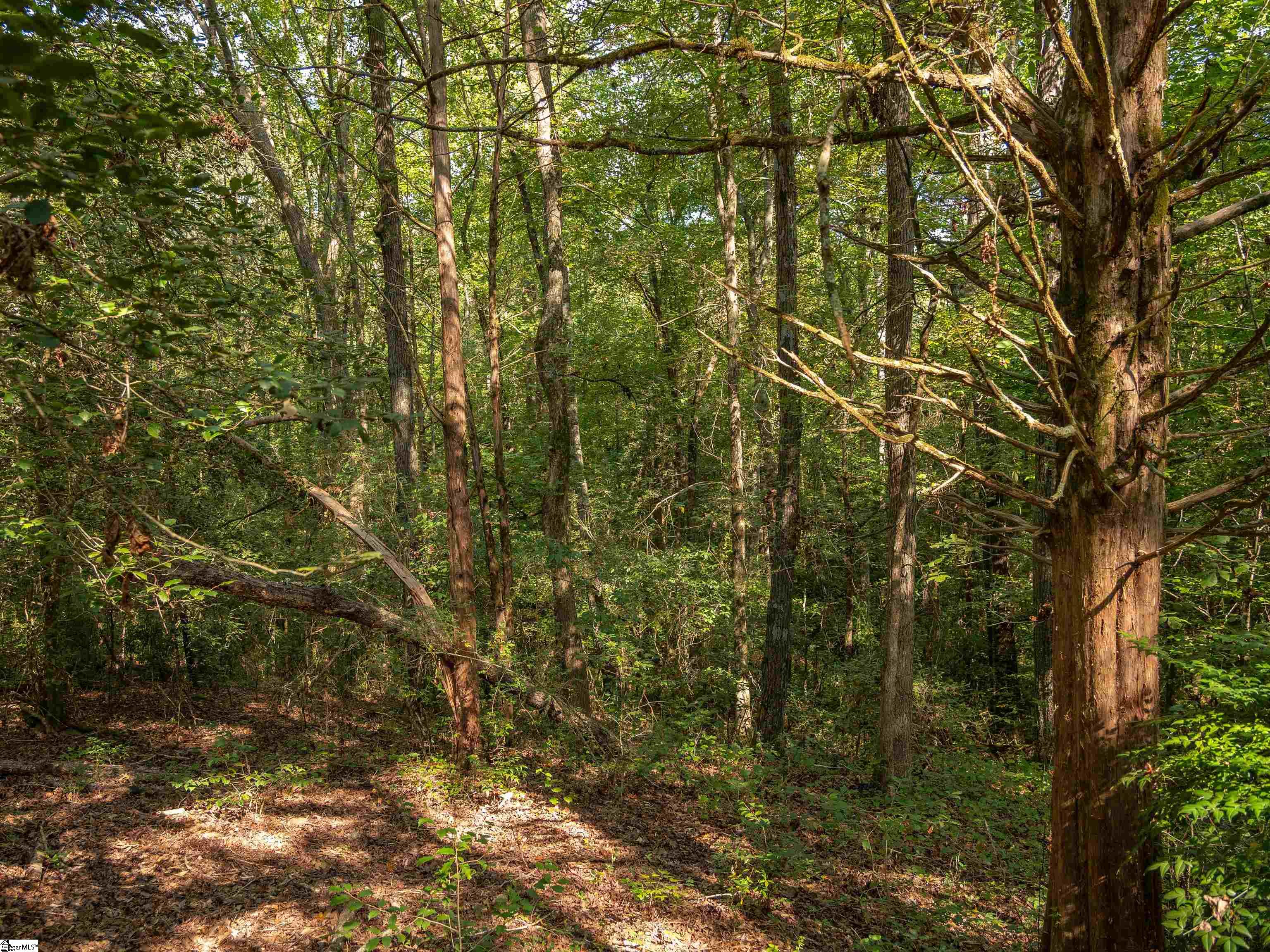 Gibson Road UNIT #03 Anderson, SC 29625