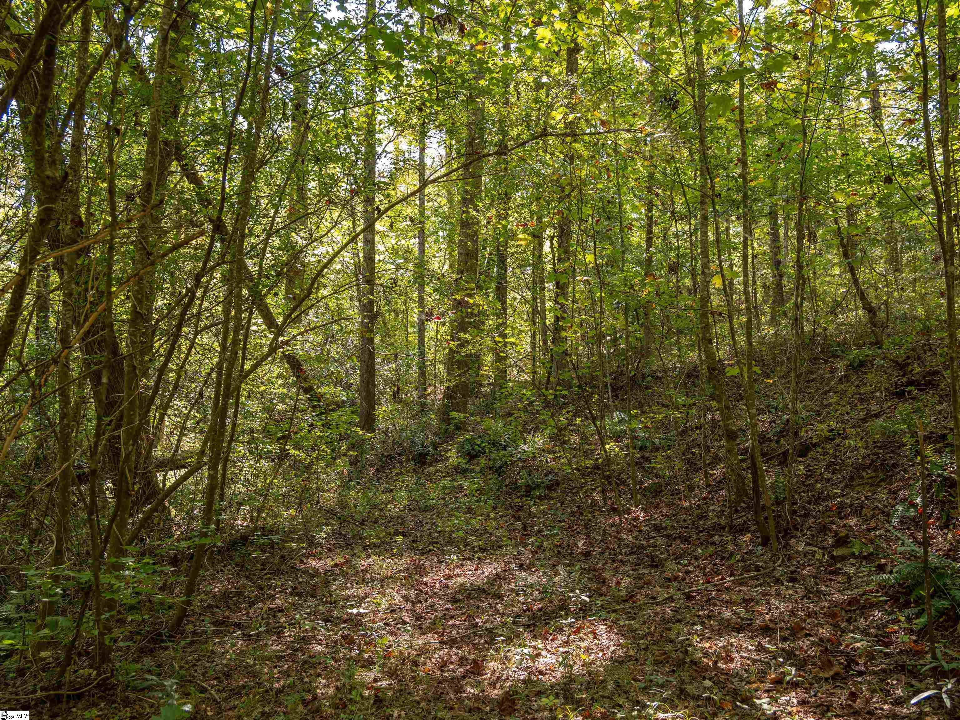 00 Lafrance Road Anderson, SC 29625