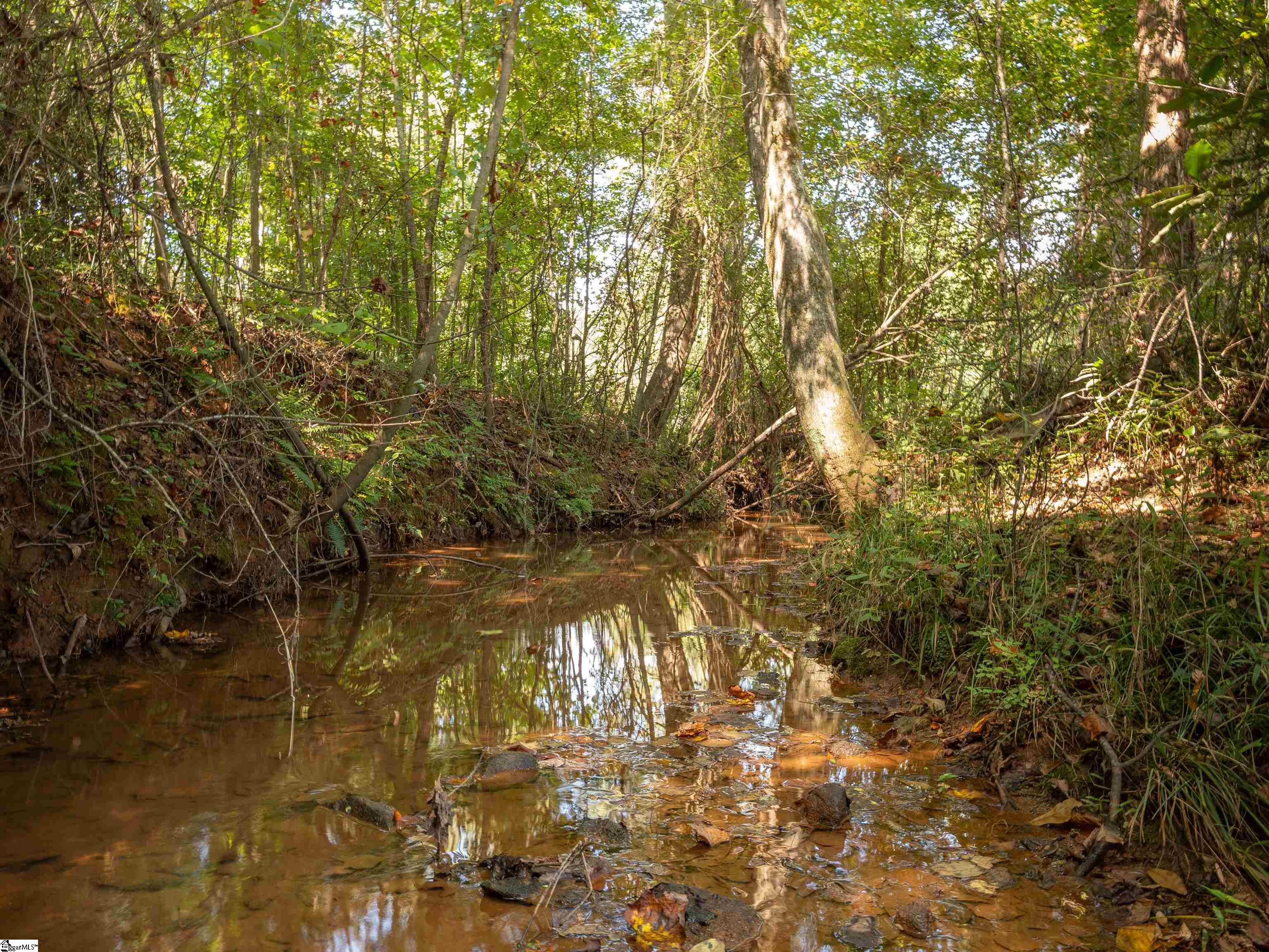 00 Lafrance Road Anderson, SC 29625