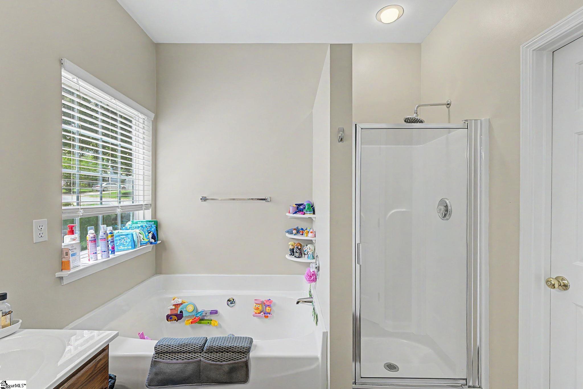 14 Birkdale Drive Simpsonville, SC 29681