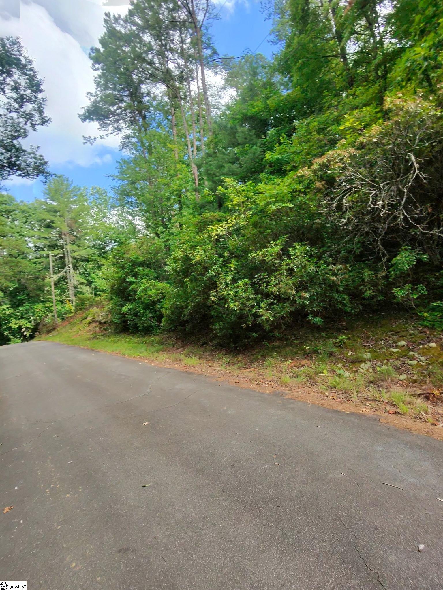 00 Silver Shoals Circle Marietta, SC 29661