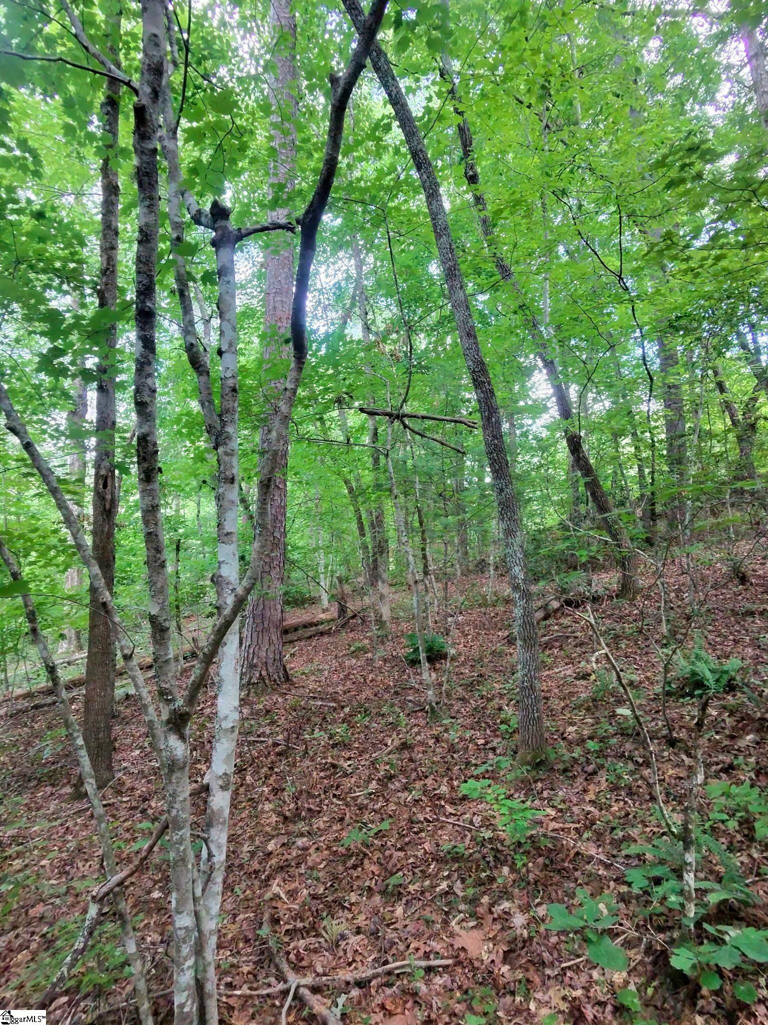 00 Silver Shoals Circle Marietta, SC 29661
