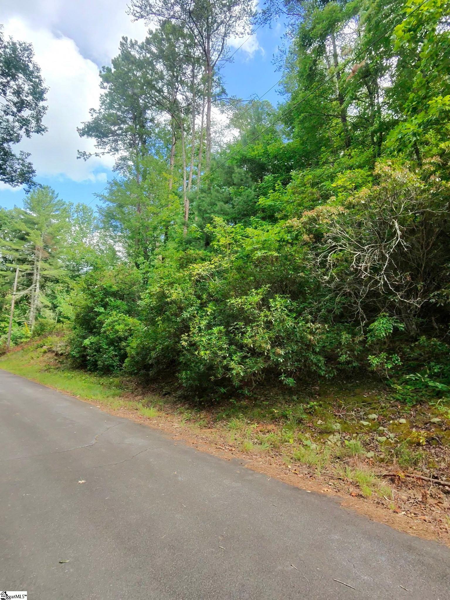 00 Silver Shoals Circle Marietta, SC 29661