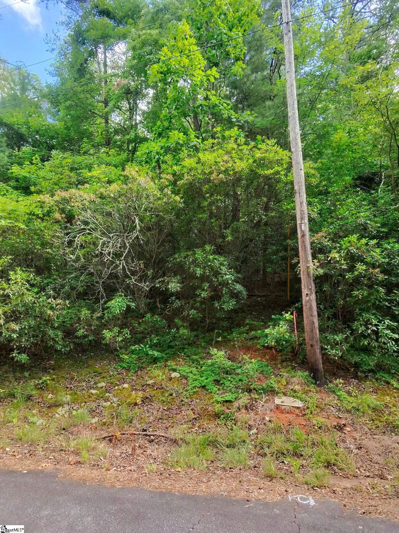00 Silver Shoals Circle Marietta, SC 29661