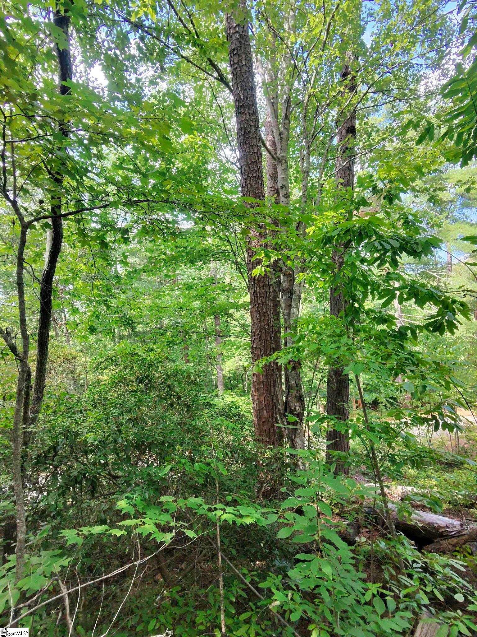00 Silver Shoals Circle Marietta, SC 29661
