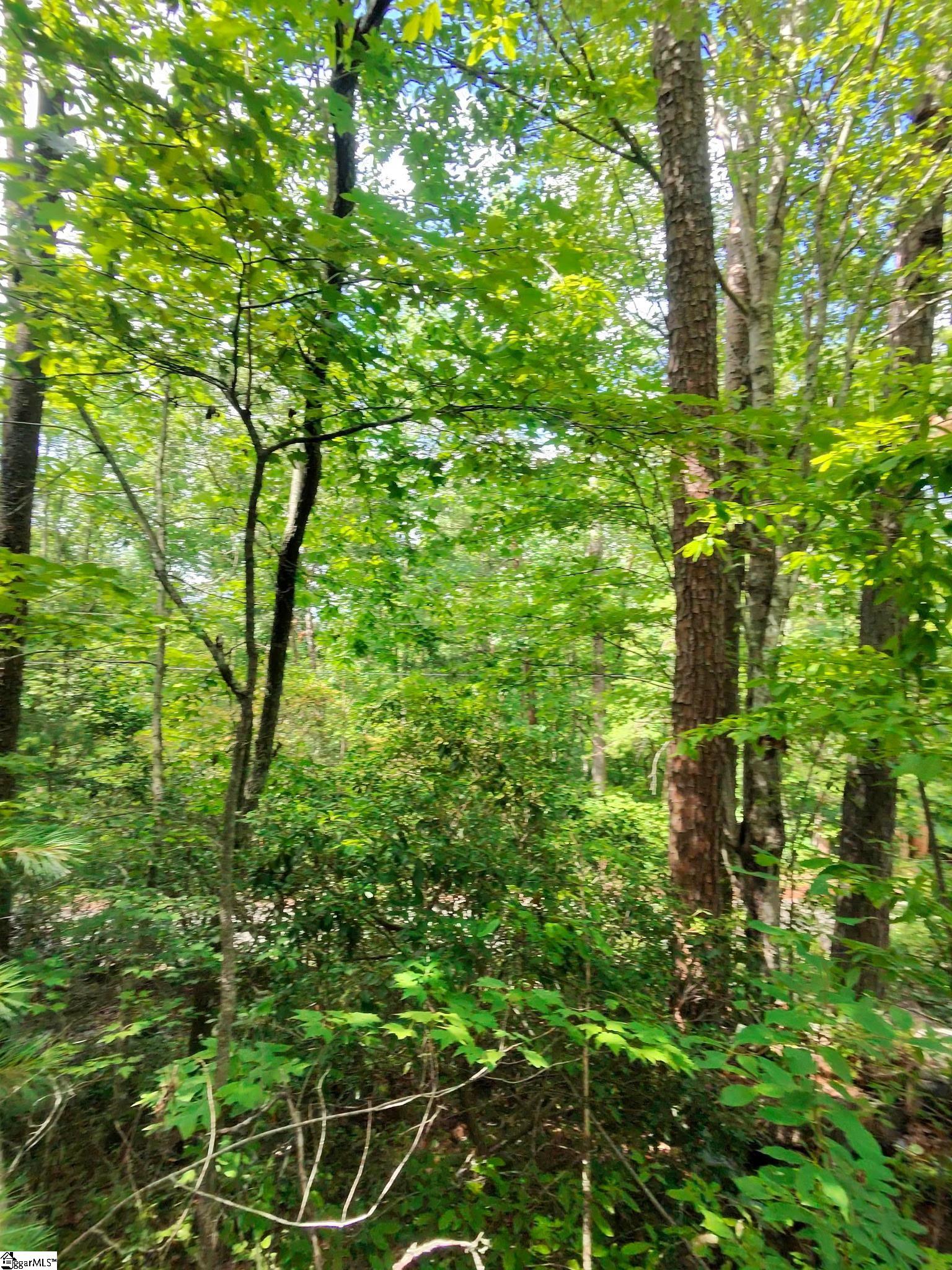 00 Silver Shoals Circle Marietta, SC 29661