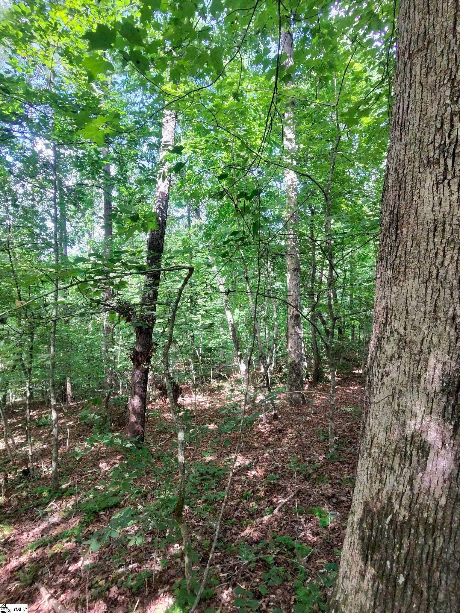 00 Silver Shoals Circle Marietta, SC 29661