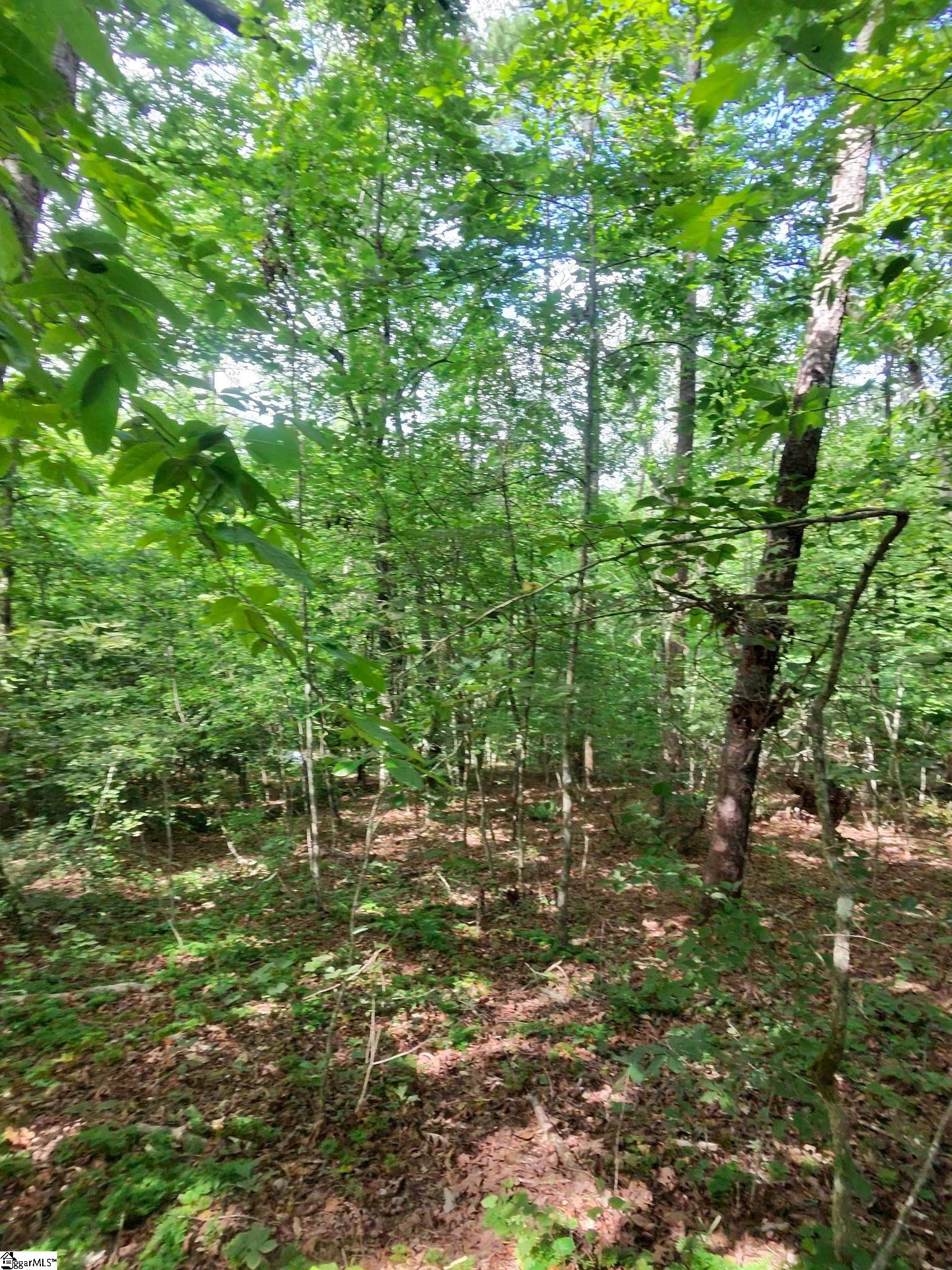 00 Silver Shoals Circle Marietta, SC 29661