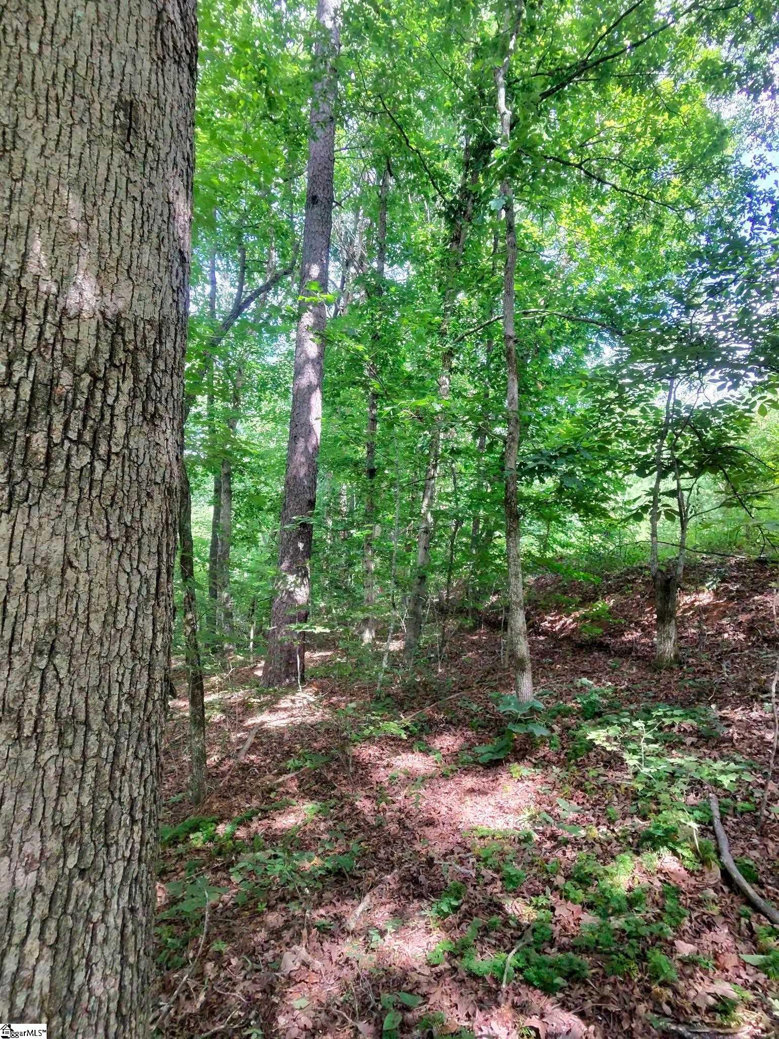 00 Silver Shoals Circle Marietta, SC 29661