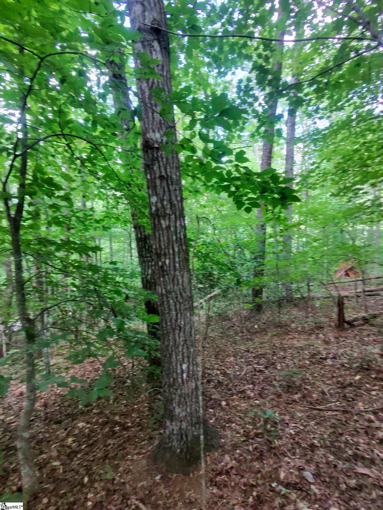 00 Silver Shoals Circle Marietta, SC 29661