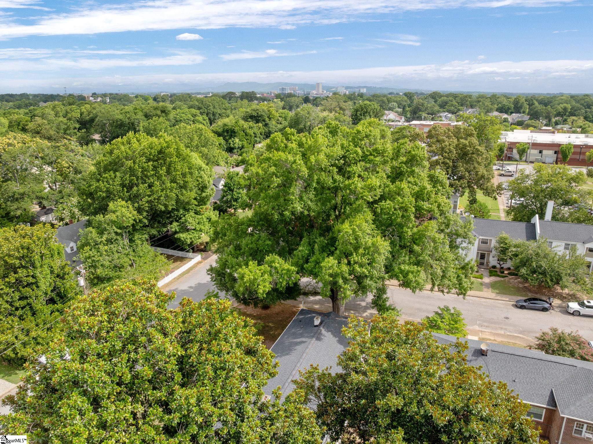 100 Lewis Drive UNIT Unit 19A Greenville, SC 29605