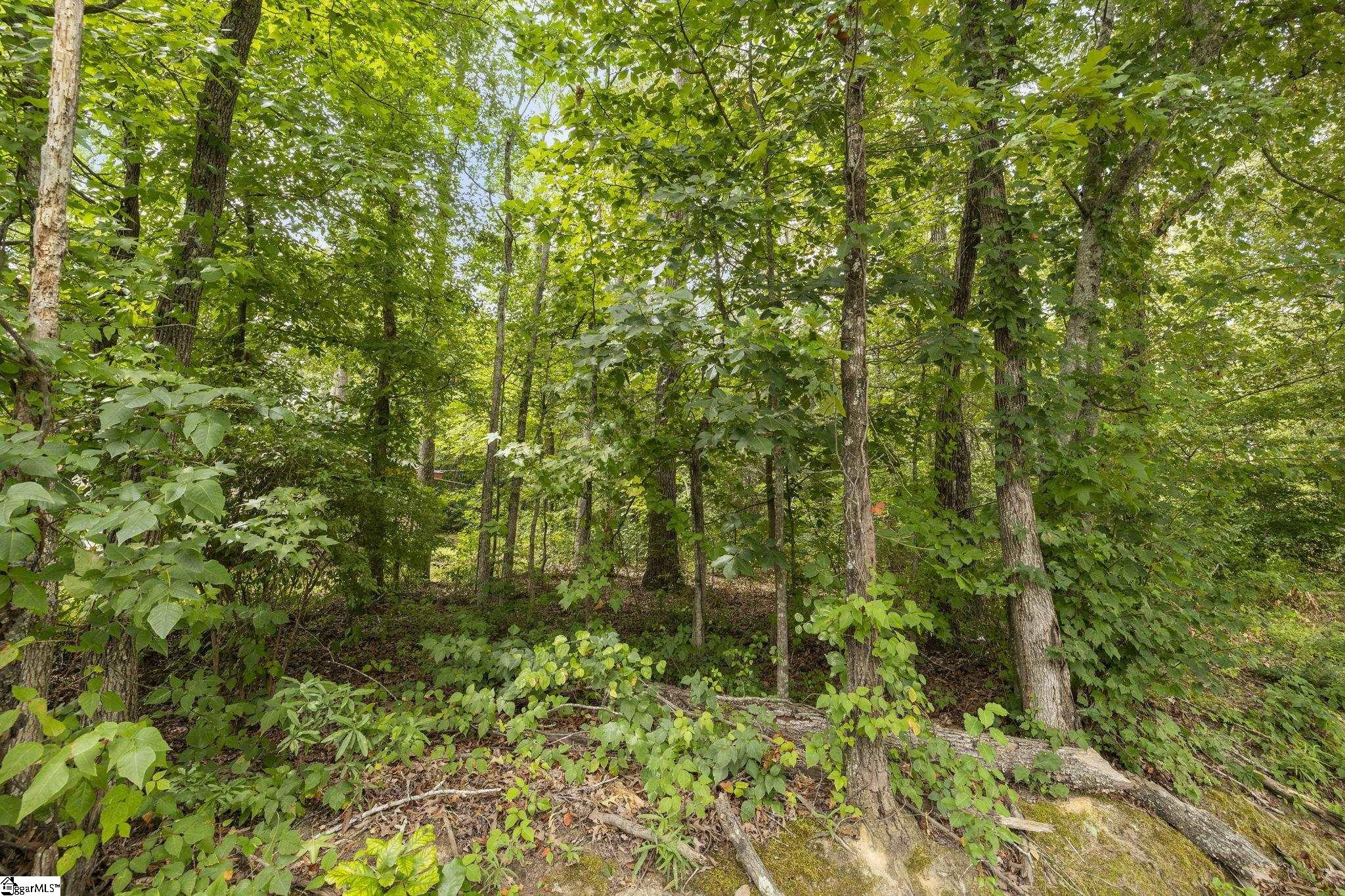 211 Forest Drive Travelers Rest, SC 29690