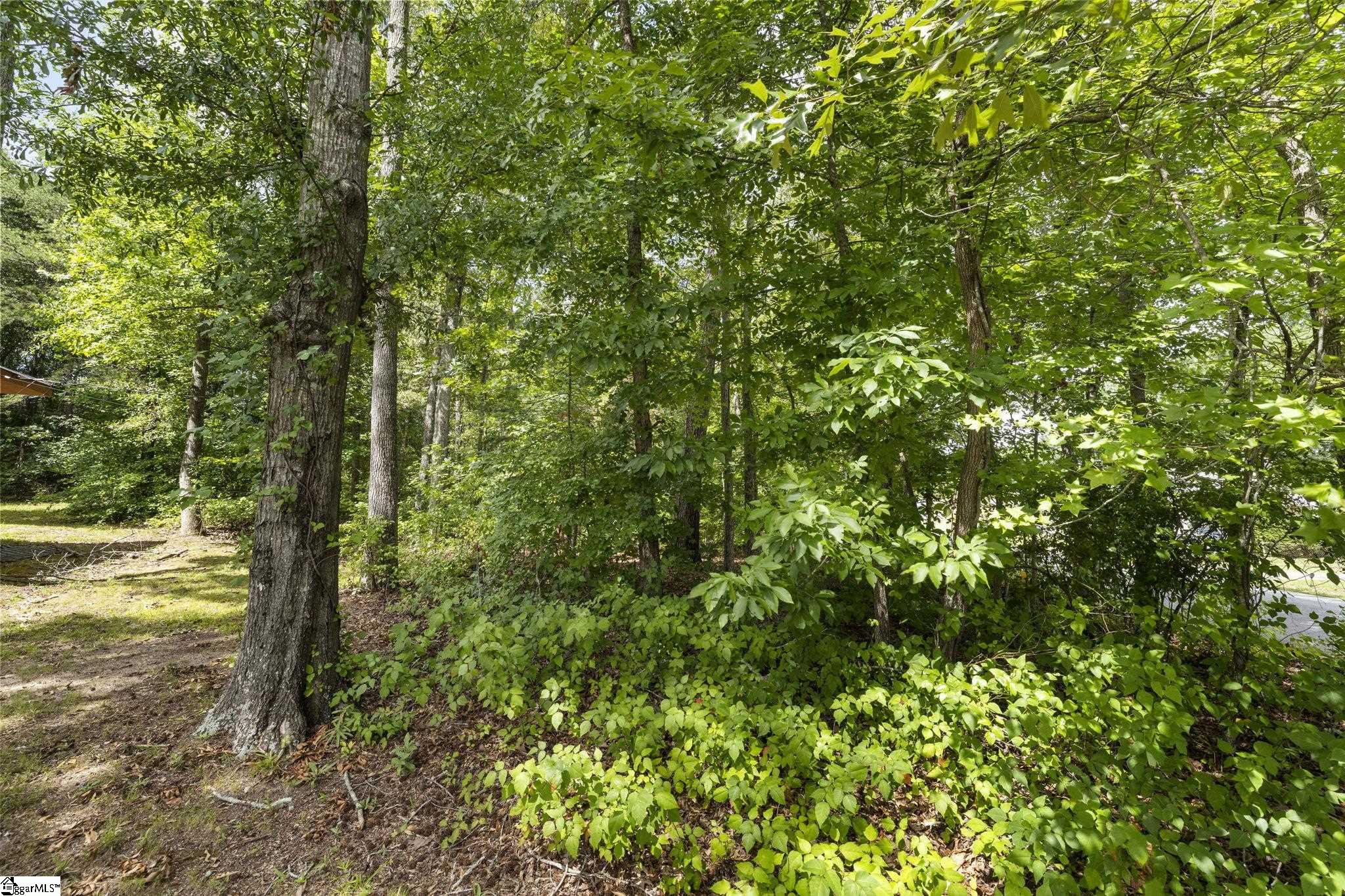 211 Forest Drive Travelers Rest, SC 29690