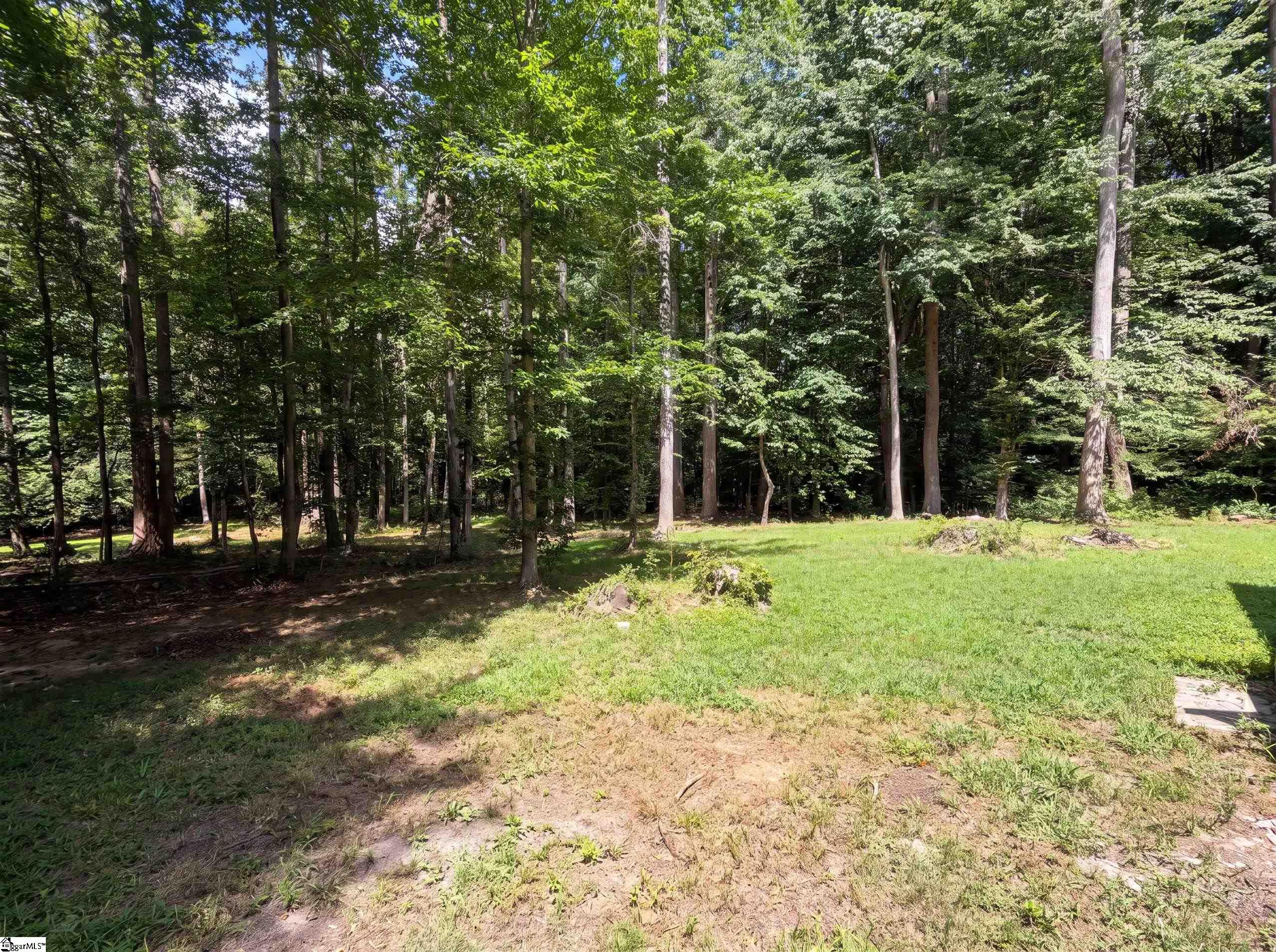 335 Dill Circle Landrum, SC 29356