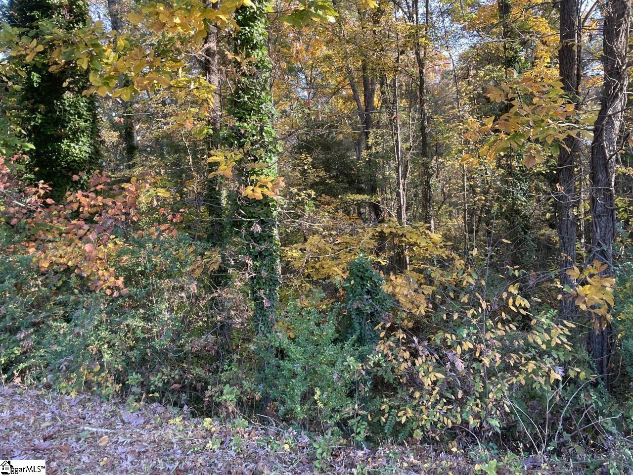 Brookforest Drive UNIT Lot 9 Anderson, SC 29621