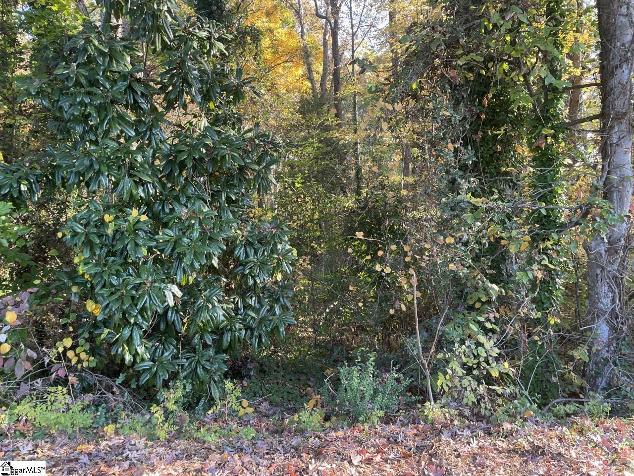 Brookforest Drive UNIT Lot 9 Anderson, SC 29621