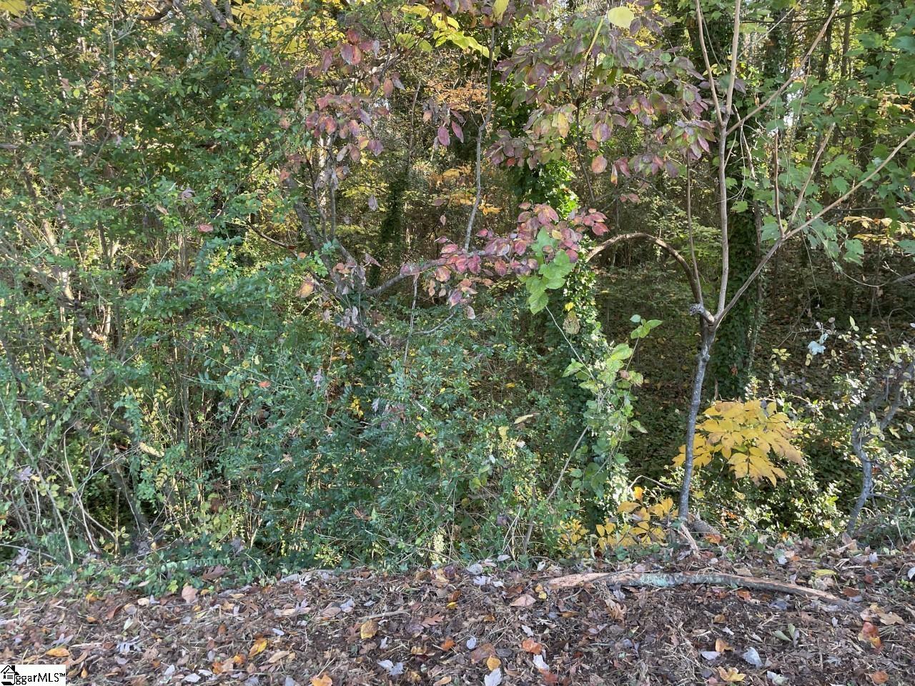 Brookforest Drive UNIT Lot 10-F Anderson, SC 29621