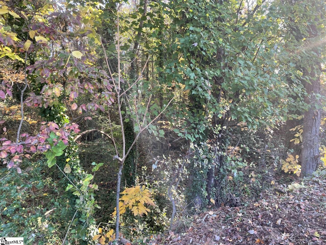 Brookforest Drive UNIT Lot 10-F Anderson, SC 29621