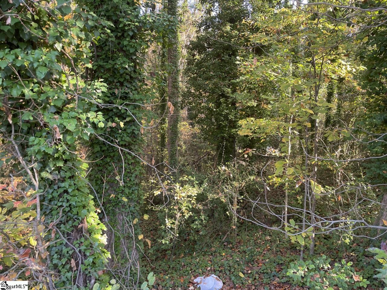 Brookforest Drive UNIT Lot 10-F Anderson, SC 29621