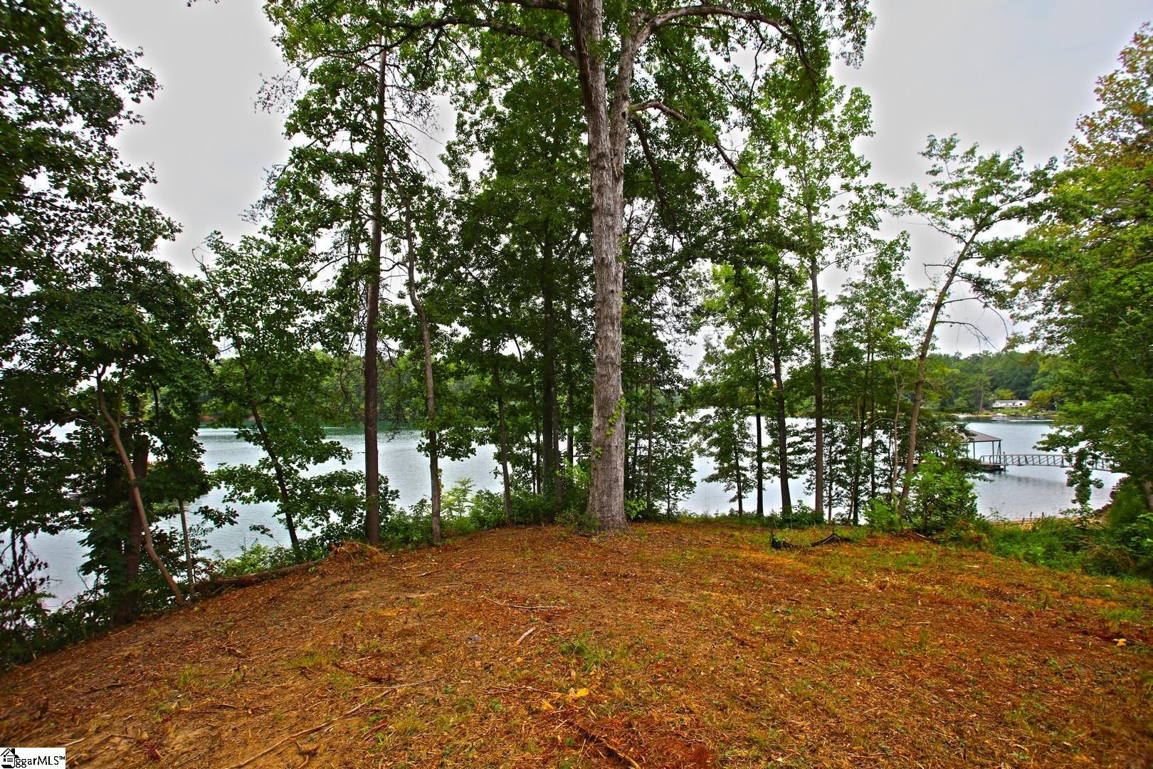 Tract B Golden Point Drive West Union, SC 29696