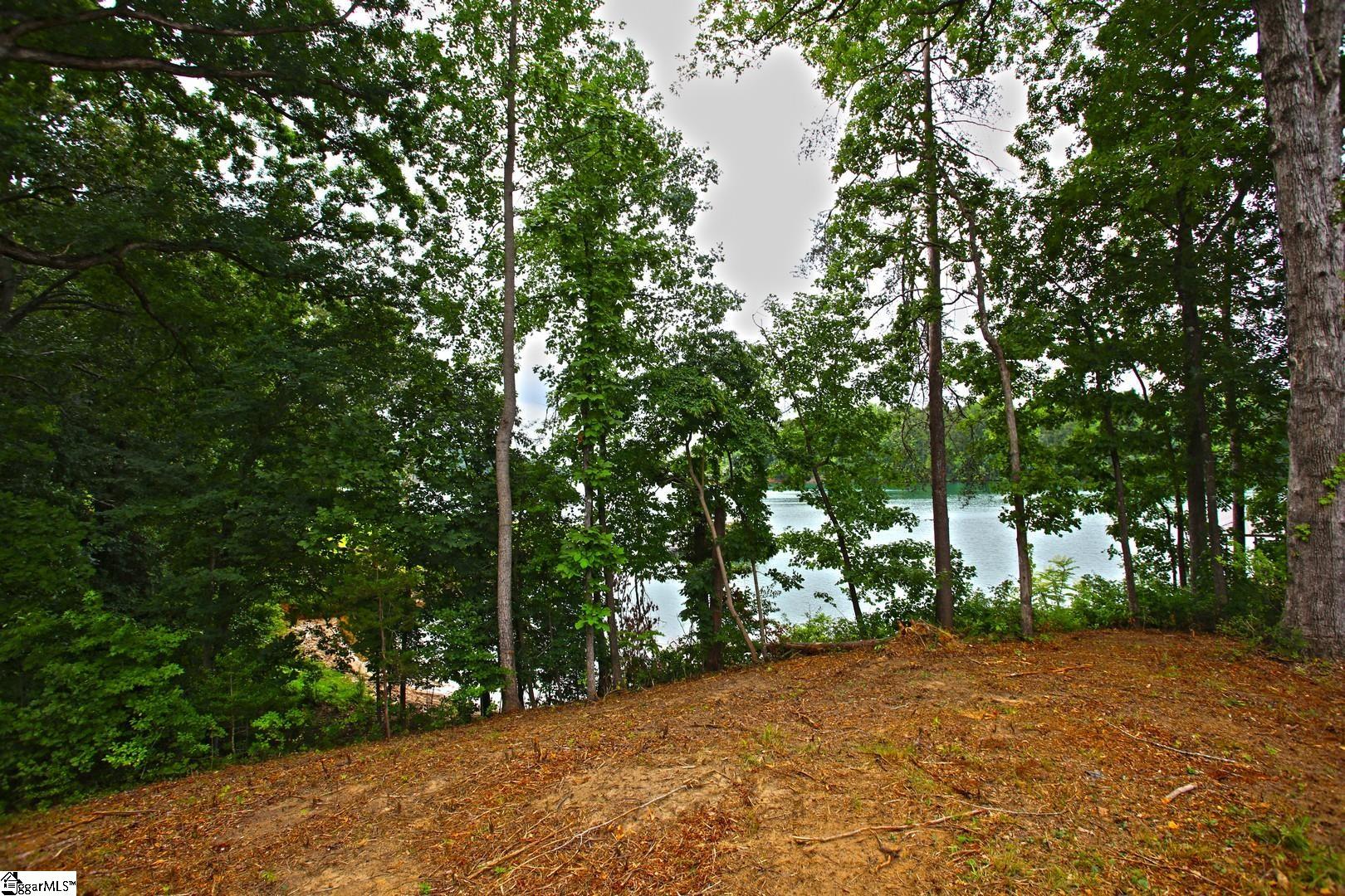 Tract B Golden Point Drive West Union, SC 29696