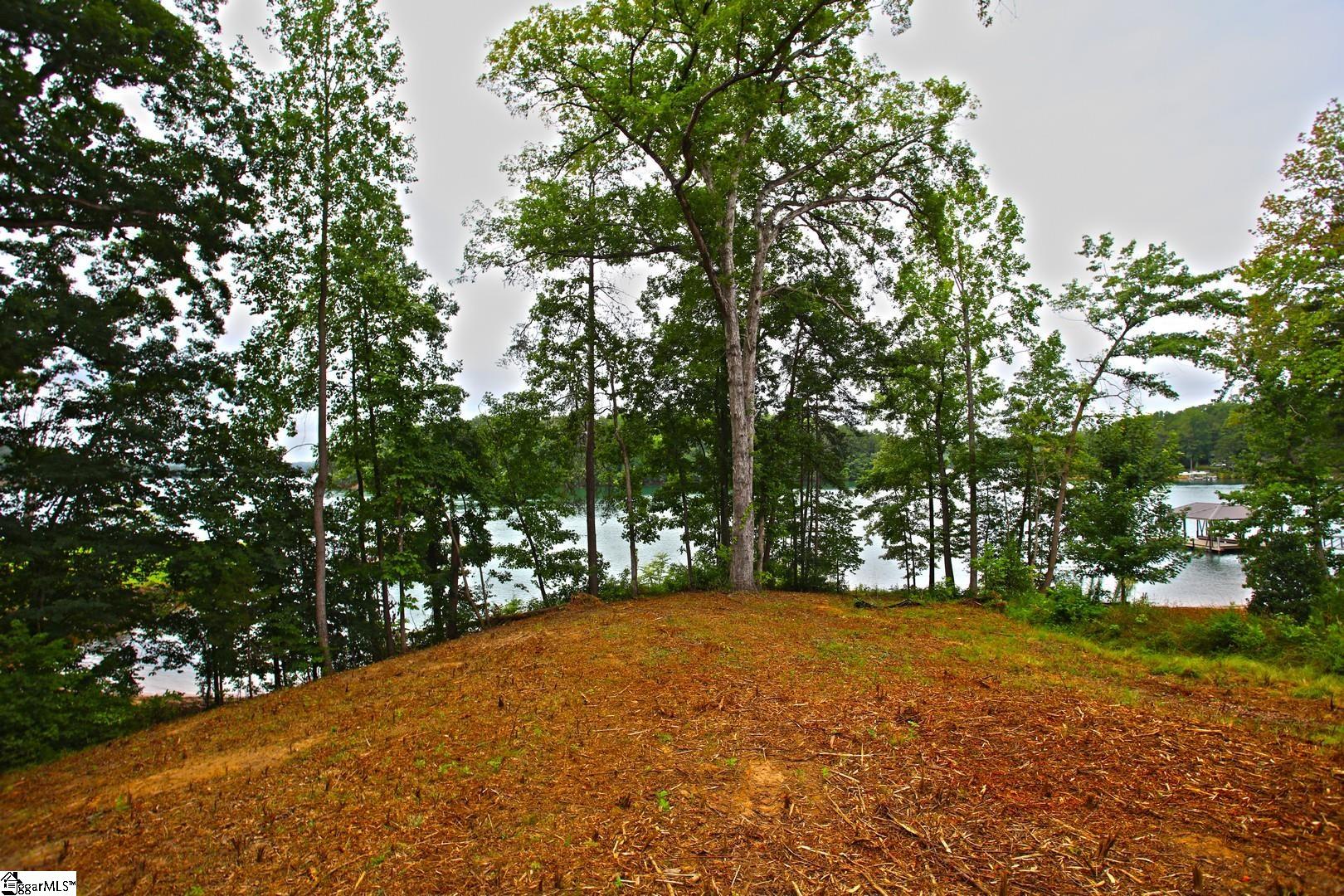 Tract B Golden Point Drive West Union, SC 29696