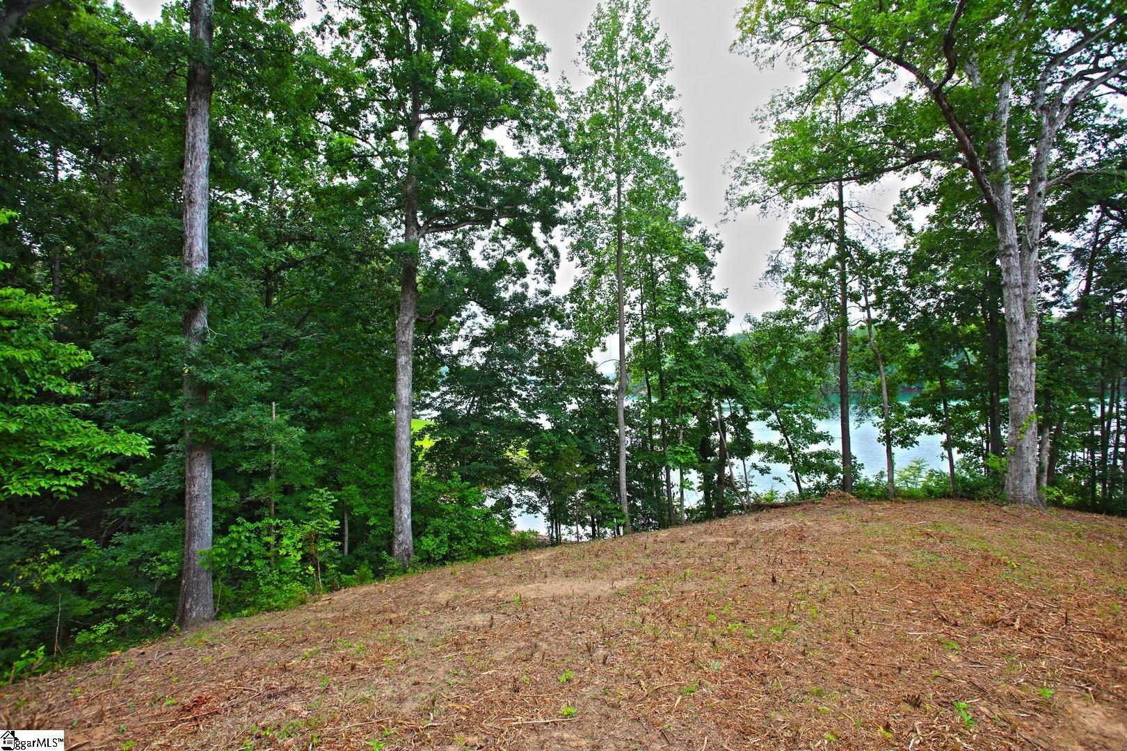 Tract B Golden Point Drive West Union, SC 29696