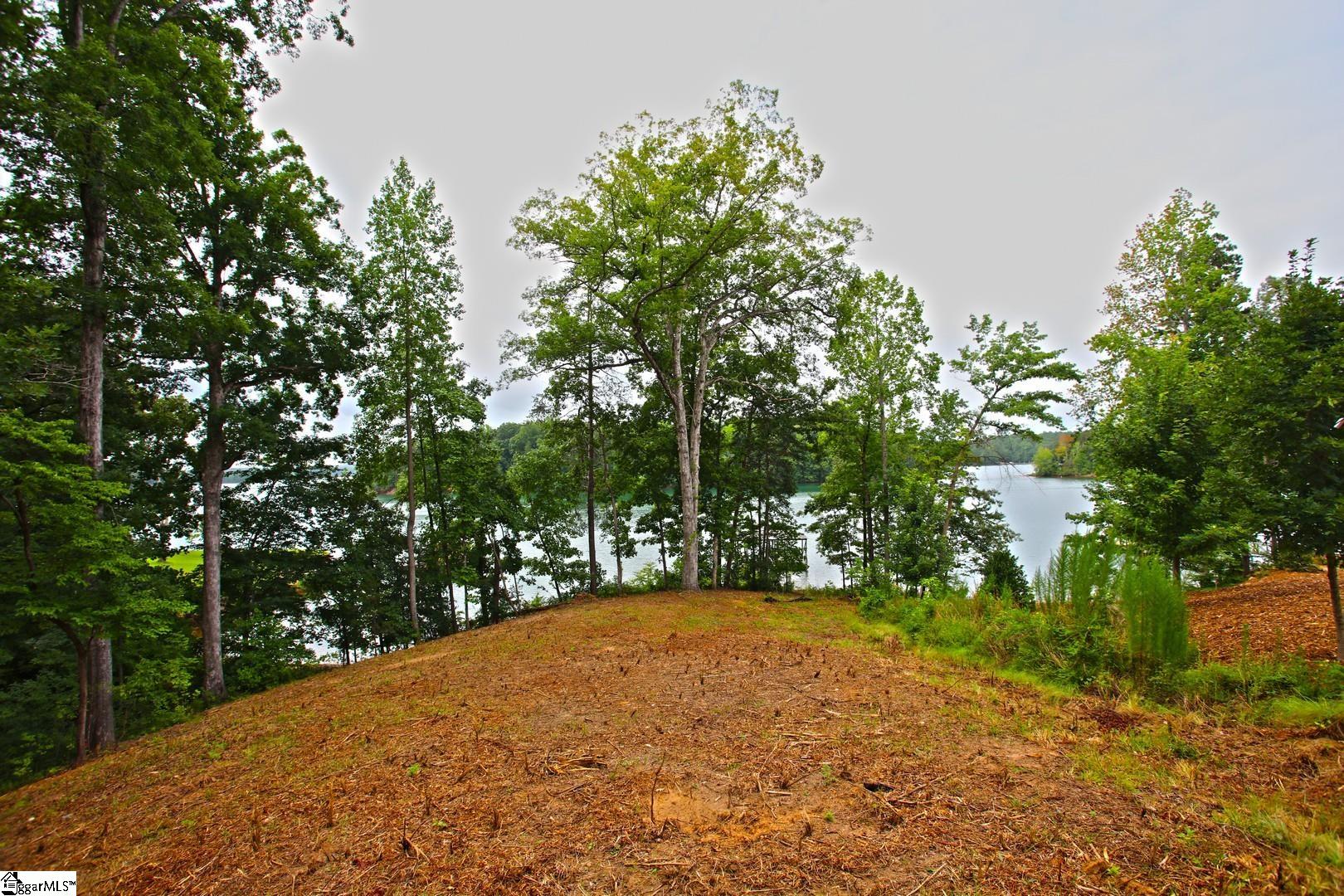 Tract B Golden Point Drive West Union, SC 29696