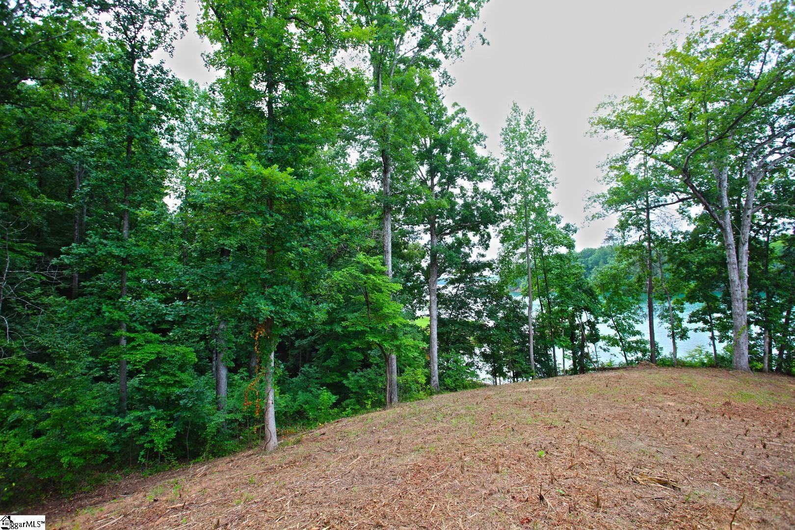 Tract B Golden Point Drive West Union, SC 29696