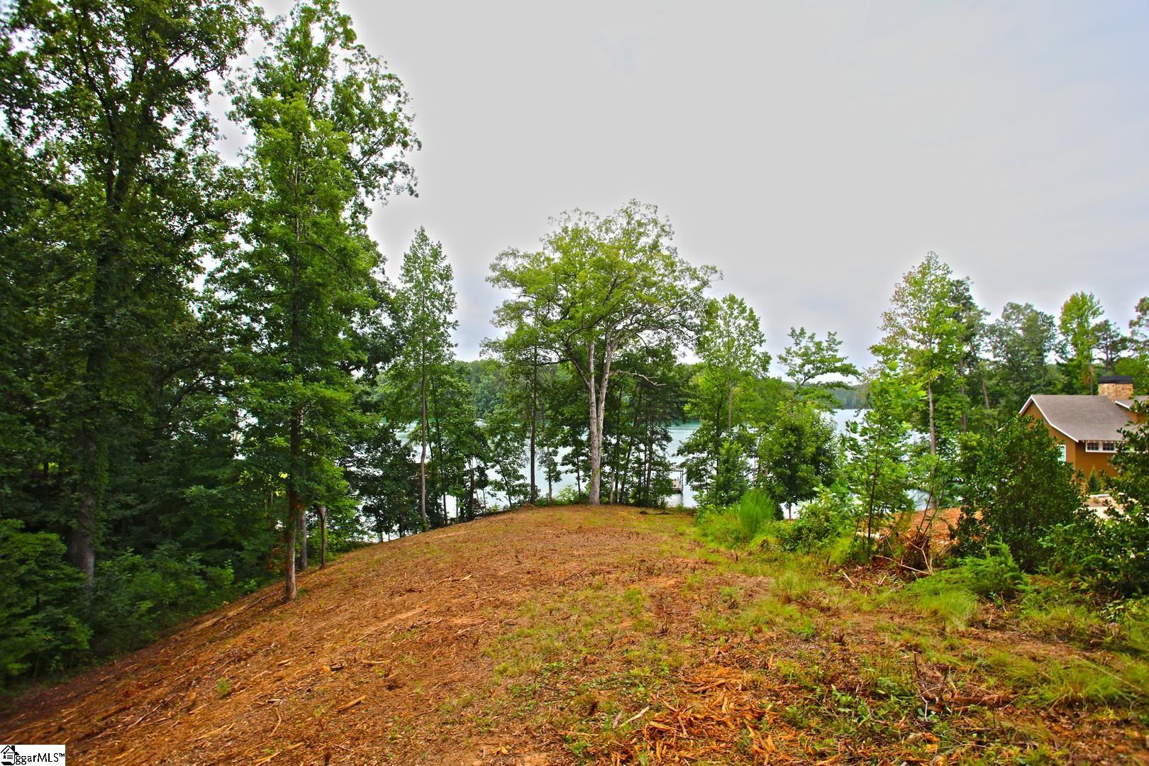 Tract B Golden Point Drive West Union, SC 29696