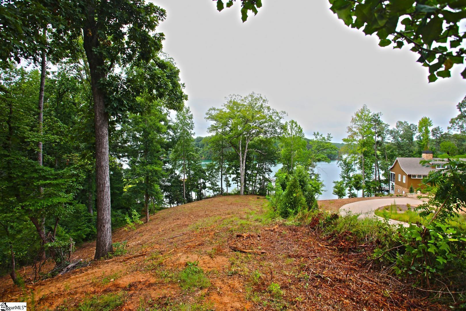Tract B Golden Point Drive West Union, SC 29696