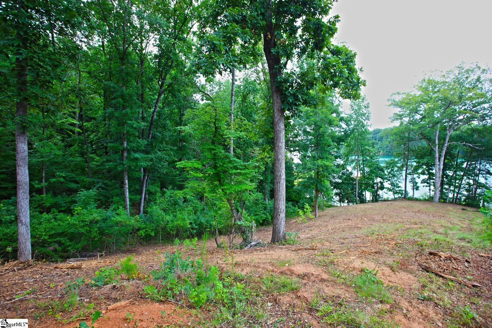 Tract B Golden Point Drive West Union, SC 29696