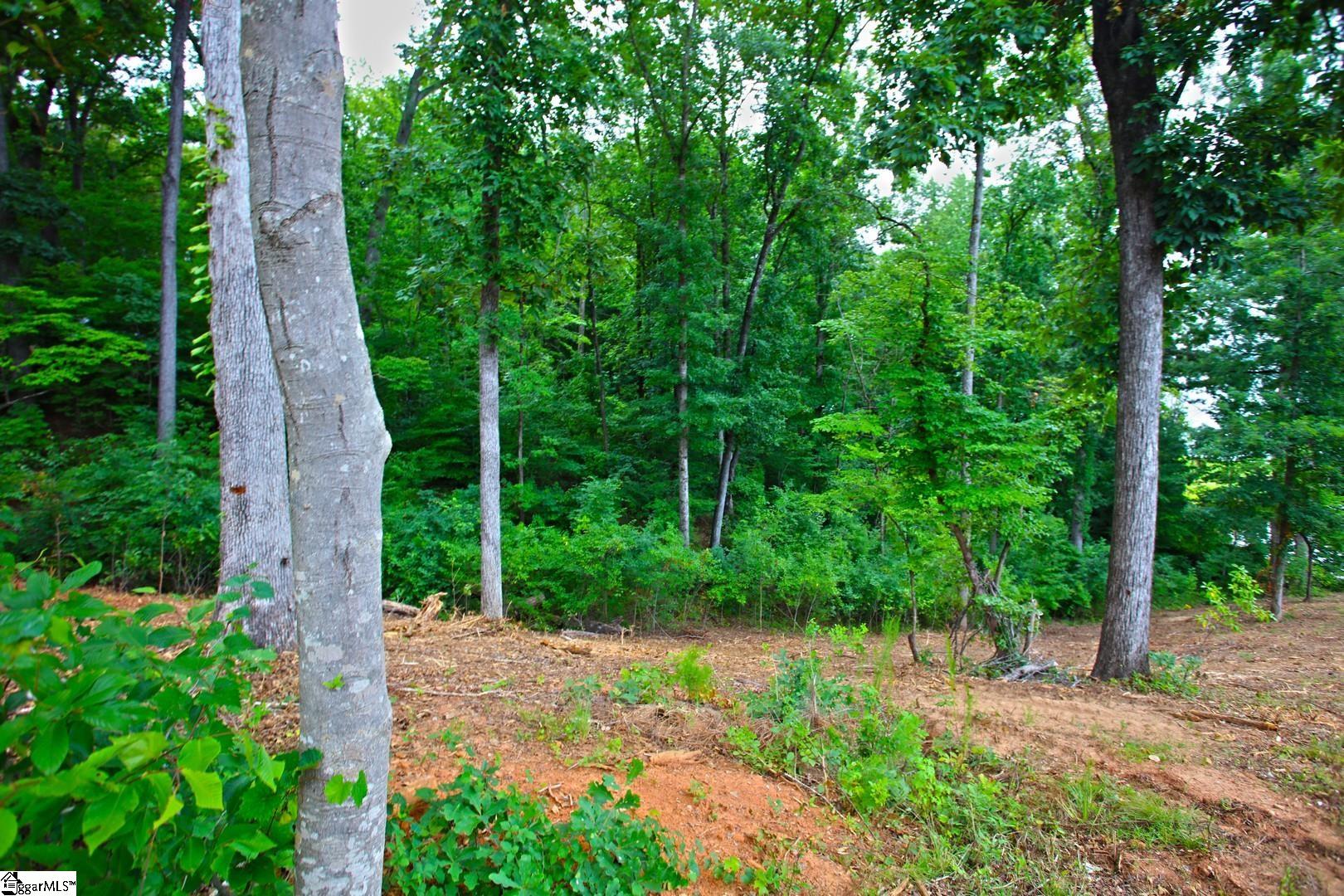 Tract B Golden Point Drive West Union, SC 29696