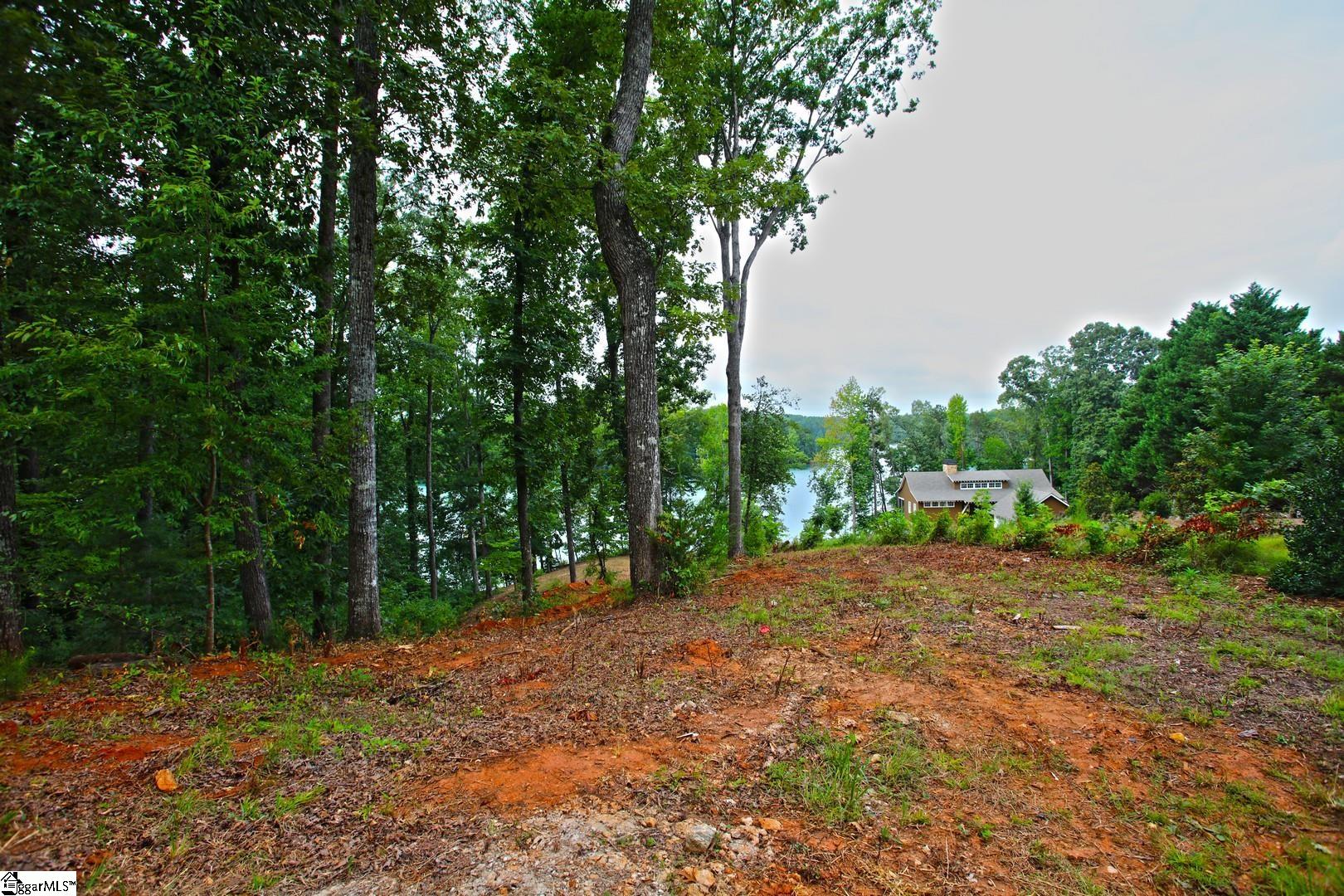 Tract B Golden Point Drive West Union, SC 29696