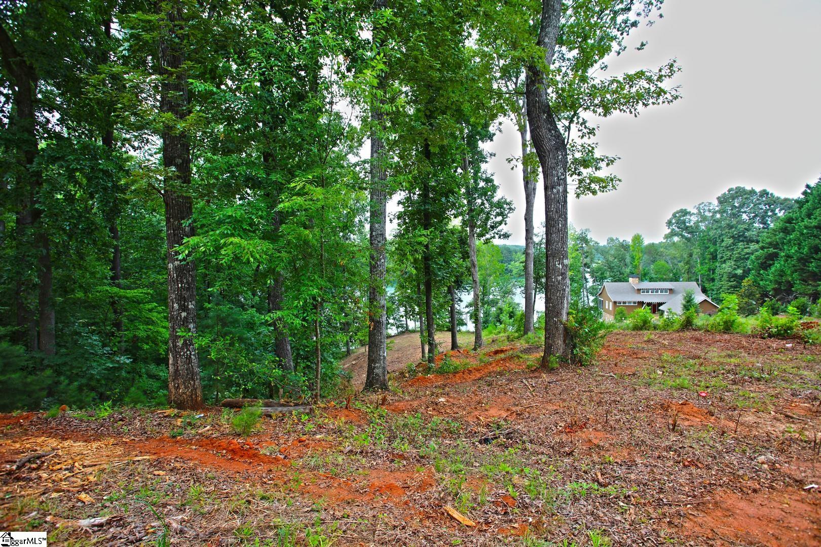 Tract B Golden Point Drive West Union, SC 29696