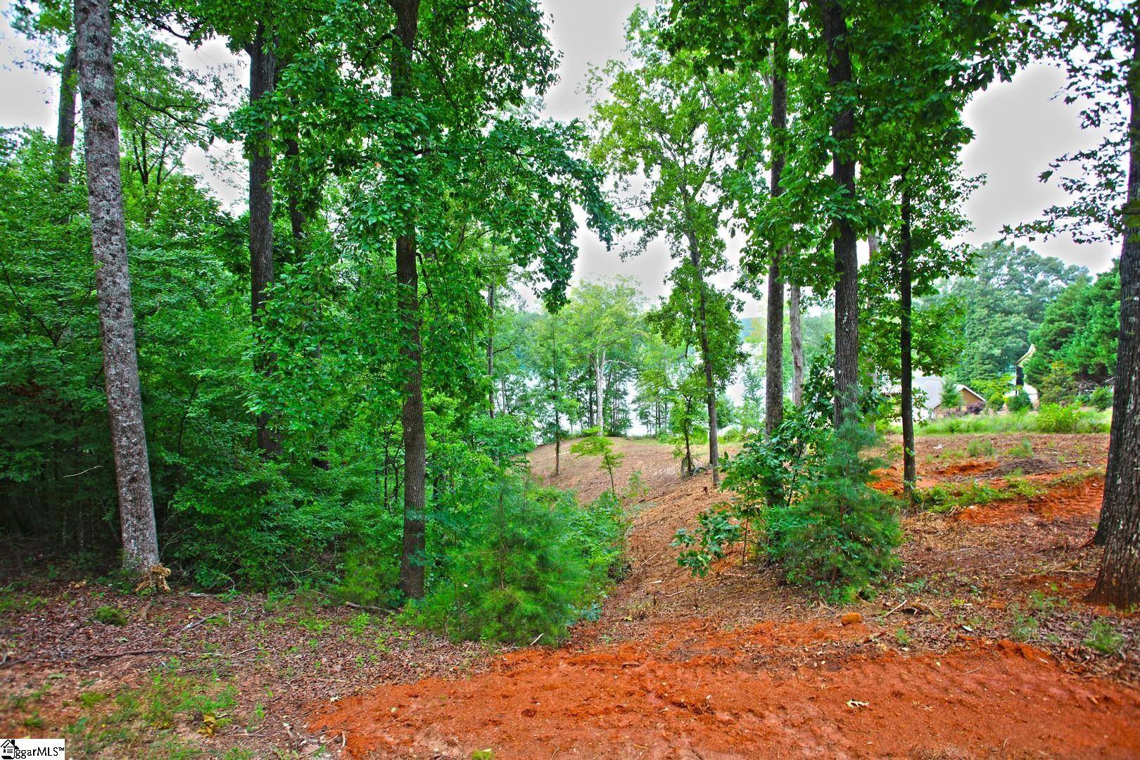 Tract B Golden Point Drive West Union, SC 29696
