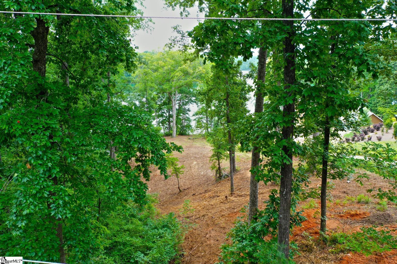 Tract B Golden Point Drive West Union, SC 29696