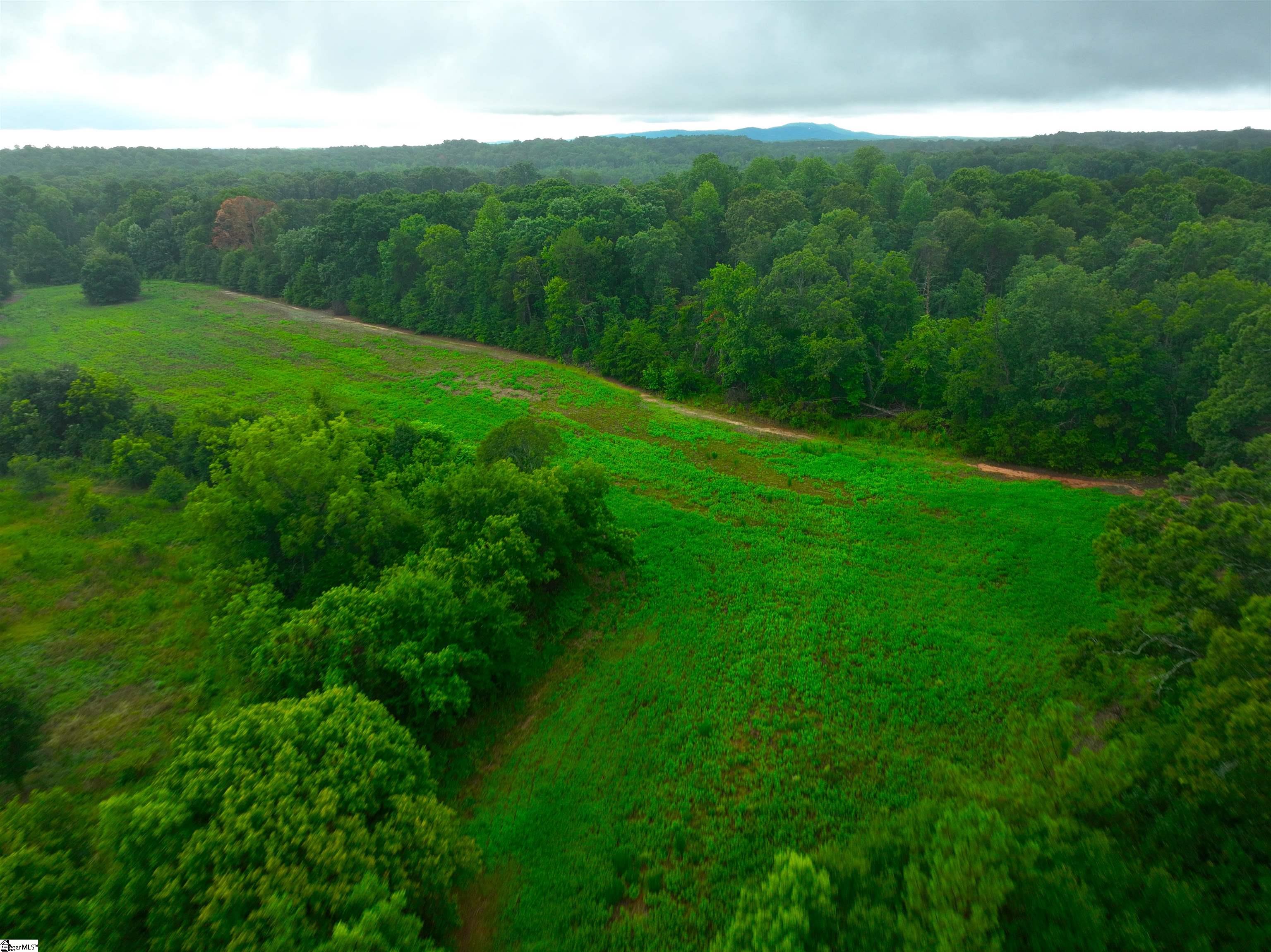 3961 Forrester Road Greer, SC 29651