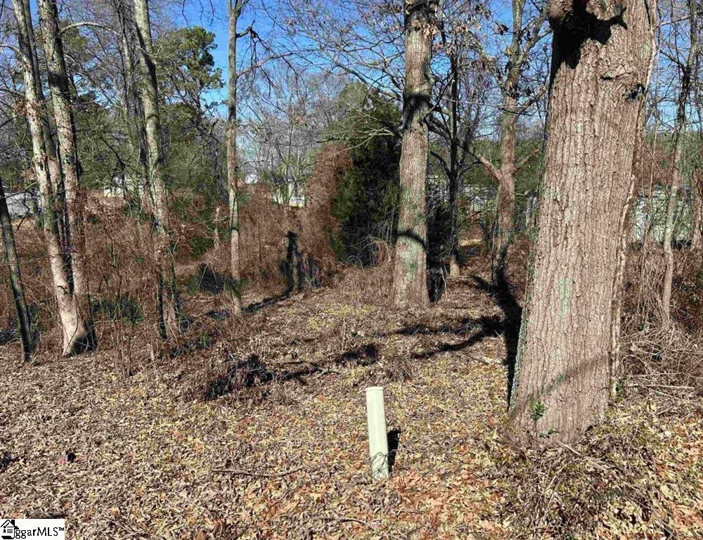 00 Wynette Way Inman, SC 29349